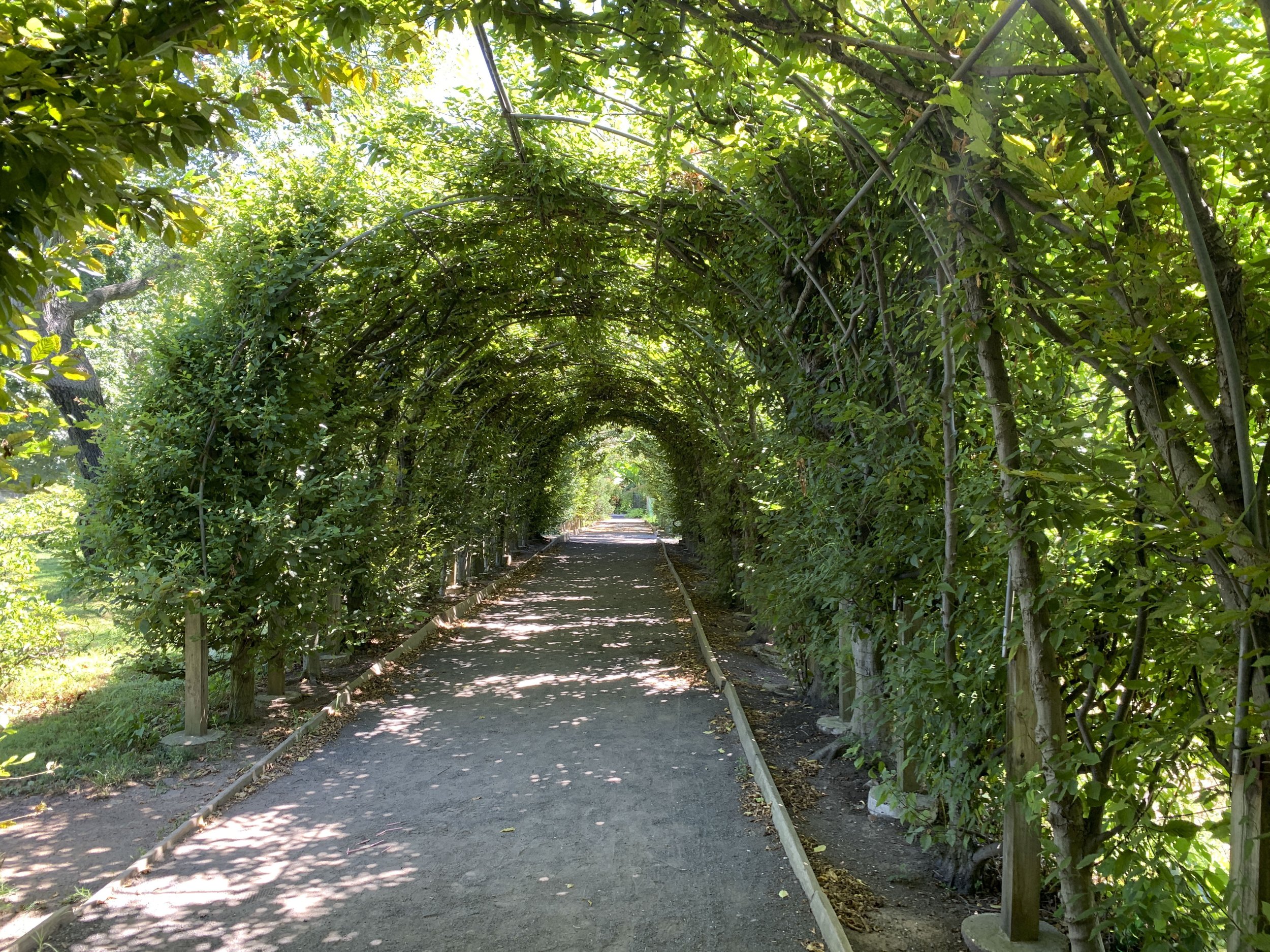 SnugHarbor_045.JPG