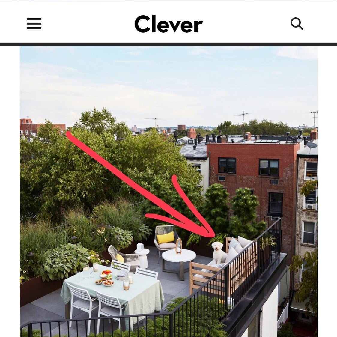 Look who&lsquo;s starring in Architectural Digest&rsquo;s Clever today with us! 🐶 
@nathanlump @lagotto_marco and I love the way this project turned out. Check out the story about our recent Brooklyn apt renovation on @getclever / @archdigest site, 