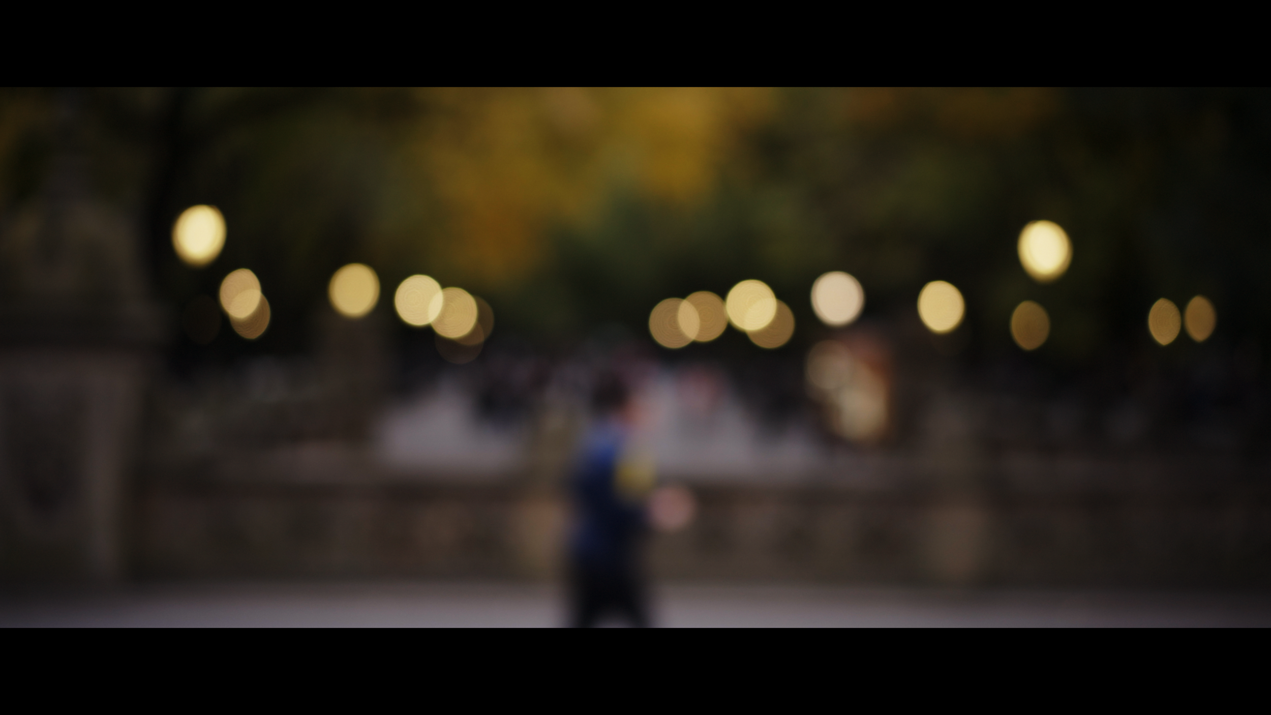 Park Portrait