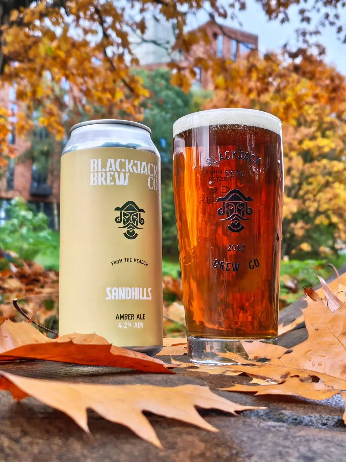⏳ Sandhills Amber Ale 🍂

As the leaves turn and a mist muzzles Manchester, autumn is truly here. It's the perfect season for our newest release, a very traditional cask Ale.

Amber-red malt foundations lay the base, before a layerering of classic Br
