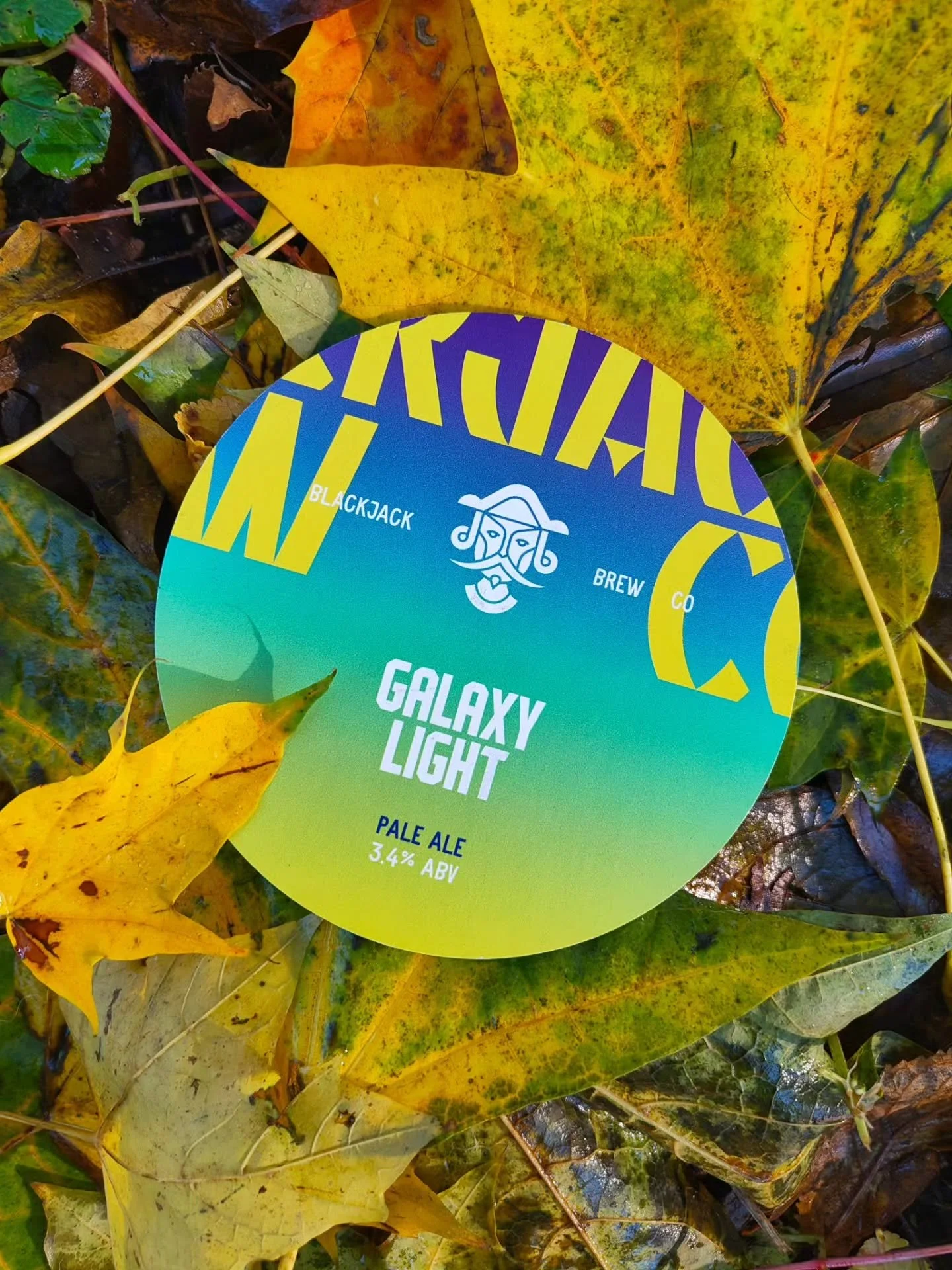 🪐 Galaxy Light 💡

The leaves are falling, the nights are drawing in but we've got a new source of Light for you!

The latest in our Northern Light cask series is here, and this time we've used old favourite Galaxy.

This Australian hop is a modern 