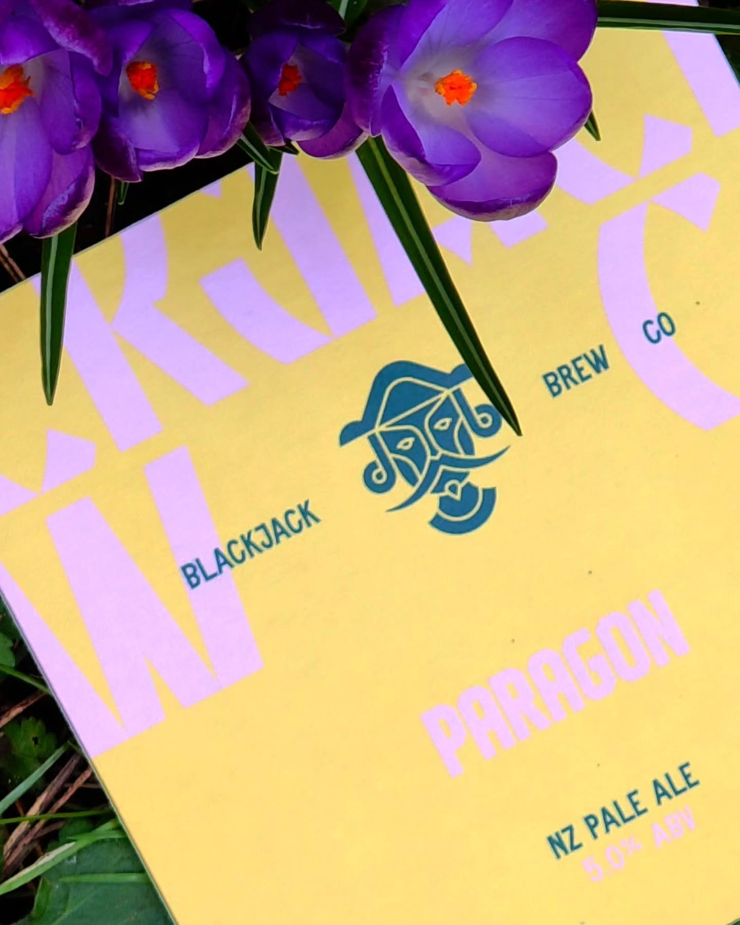 The sun is finally out in Angel Meadows and to celebrate we've got a brand new NZ Pale for you, Paragon! 💛 ☀️ 

We're been really excited to unleash this release. It's got a quadruple billing of our favourite New Zealand hops; Motueka, Riwaka, Super