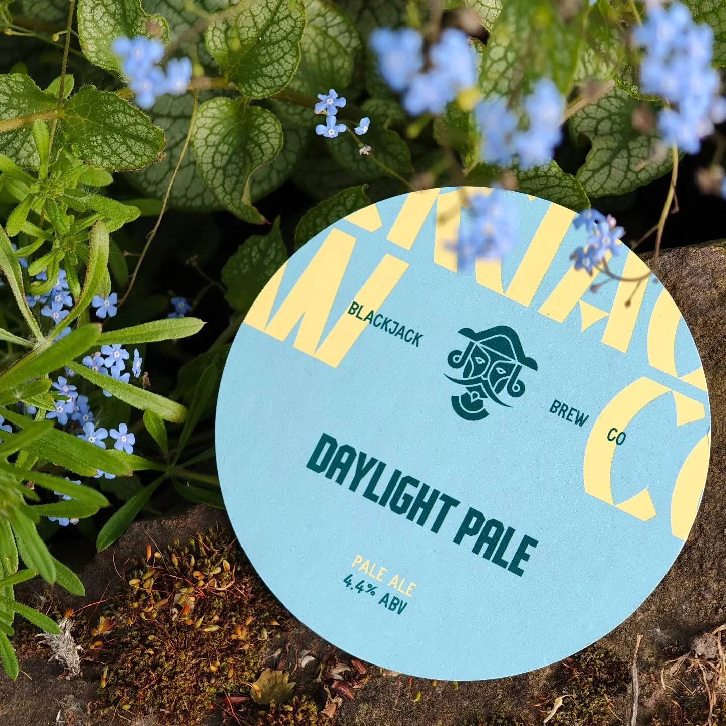 🌤️ Daylight Pale is here and it's just as bright and full of promise as it's name suggests...

Sure we love American hops, but sometimes you pine for something a little closer to home!

Daylight is a celebration of British ingredients, with Godiva, 