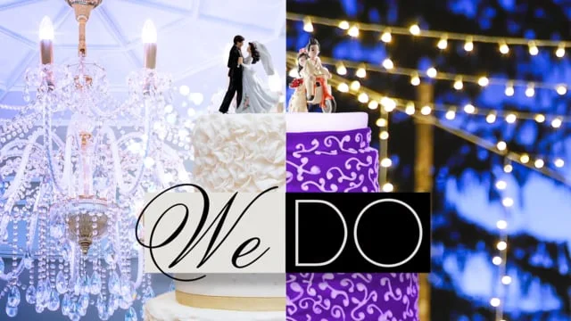 We Do Pilot Graphics Package