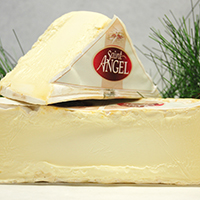 Brie, Saint Angel Less than 1 Mo. France