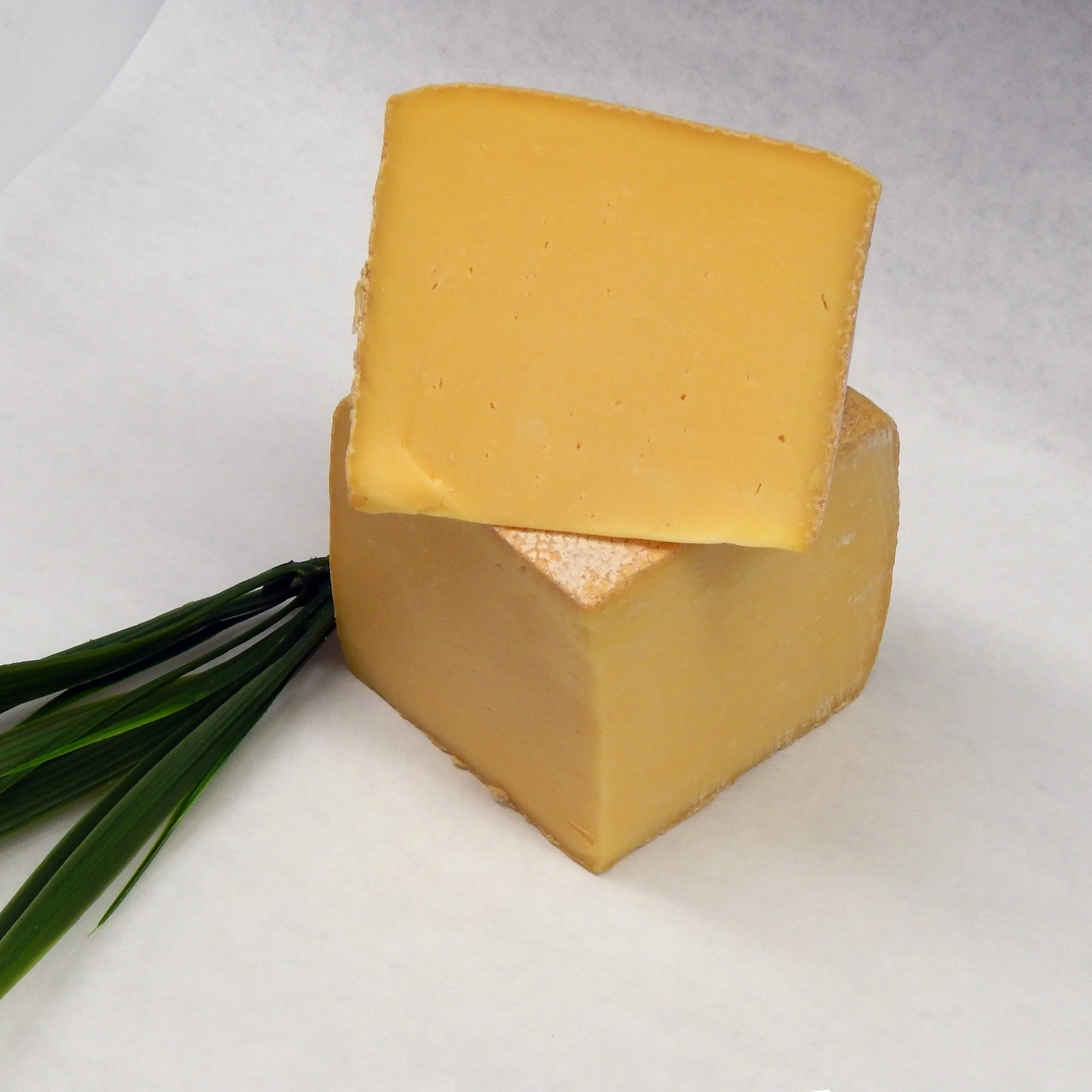 Cheese_Logo_Edited.jpg