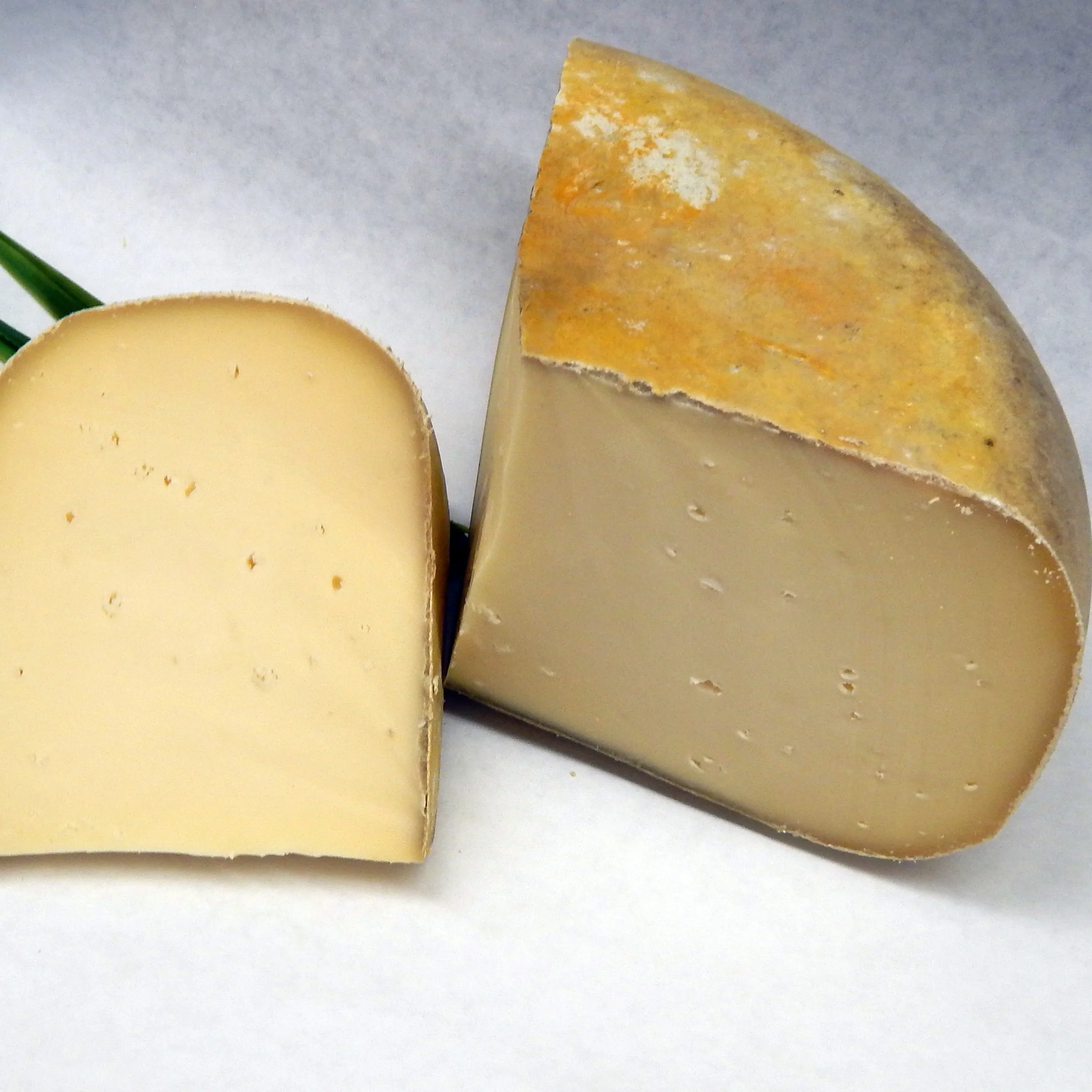 Cheese_Logo_Edited.jpg