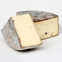 Sottocenere al Tartufo 4-6 Mts. Italy