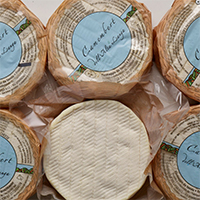 Camembert Cow/Goat/Ewe, 2 Wks Italy