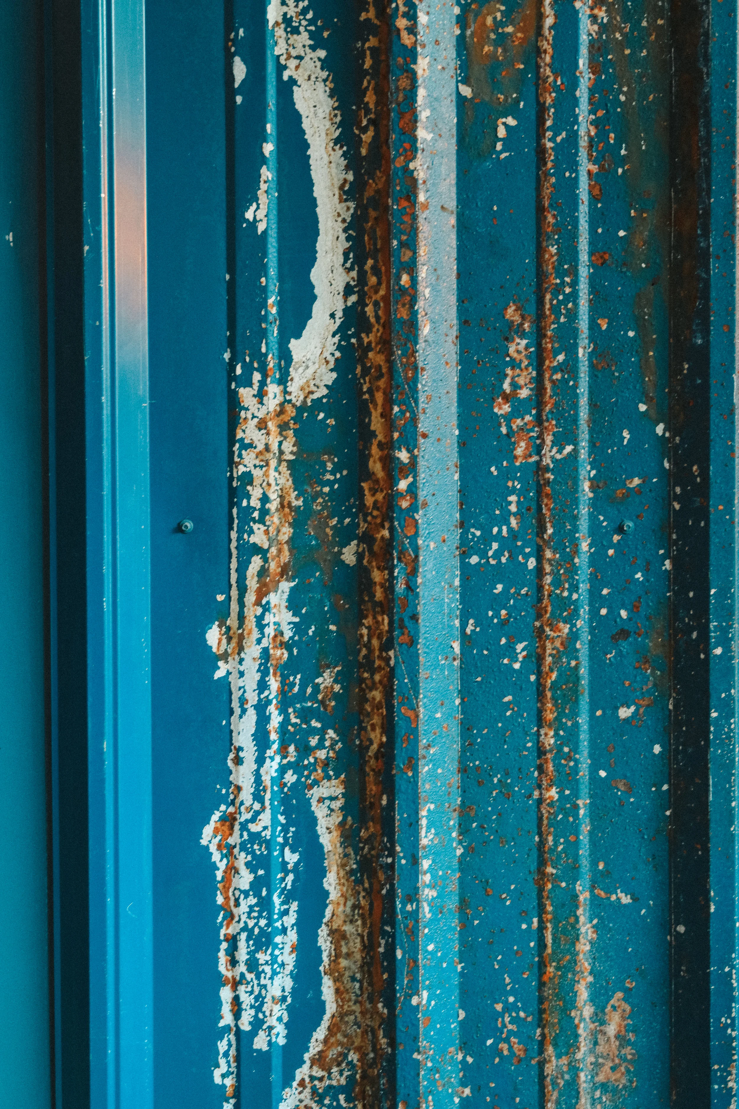 3T9A0510.jpg