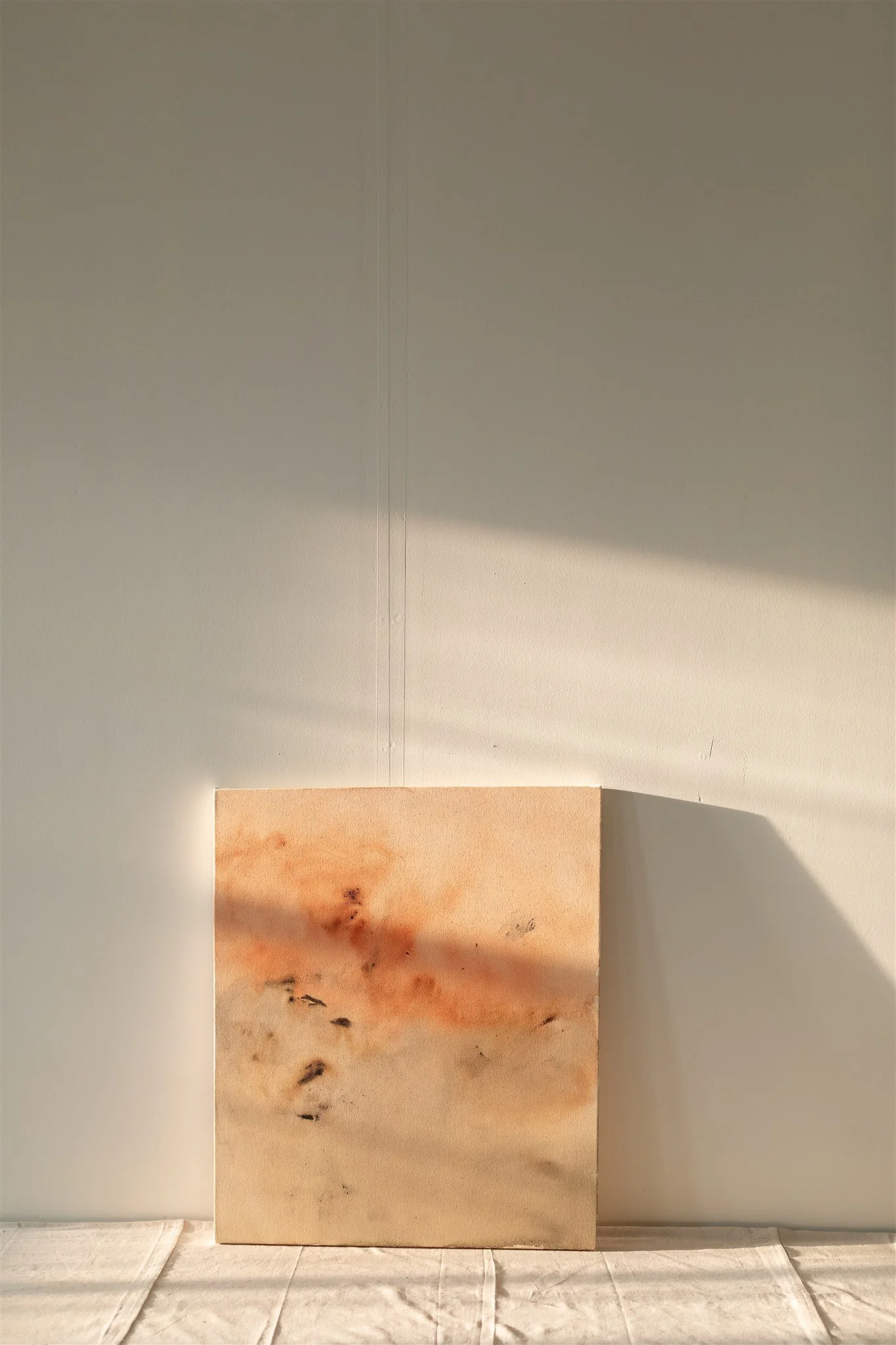 Dani Schafer_s ART - Sept. 2024-37-F.jpg