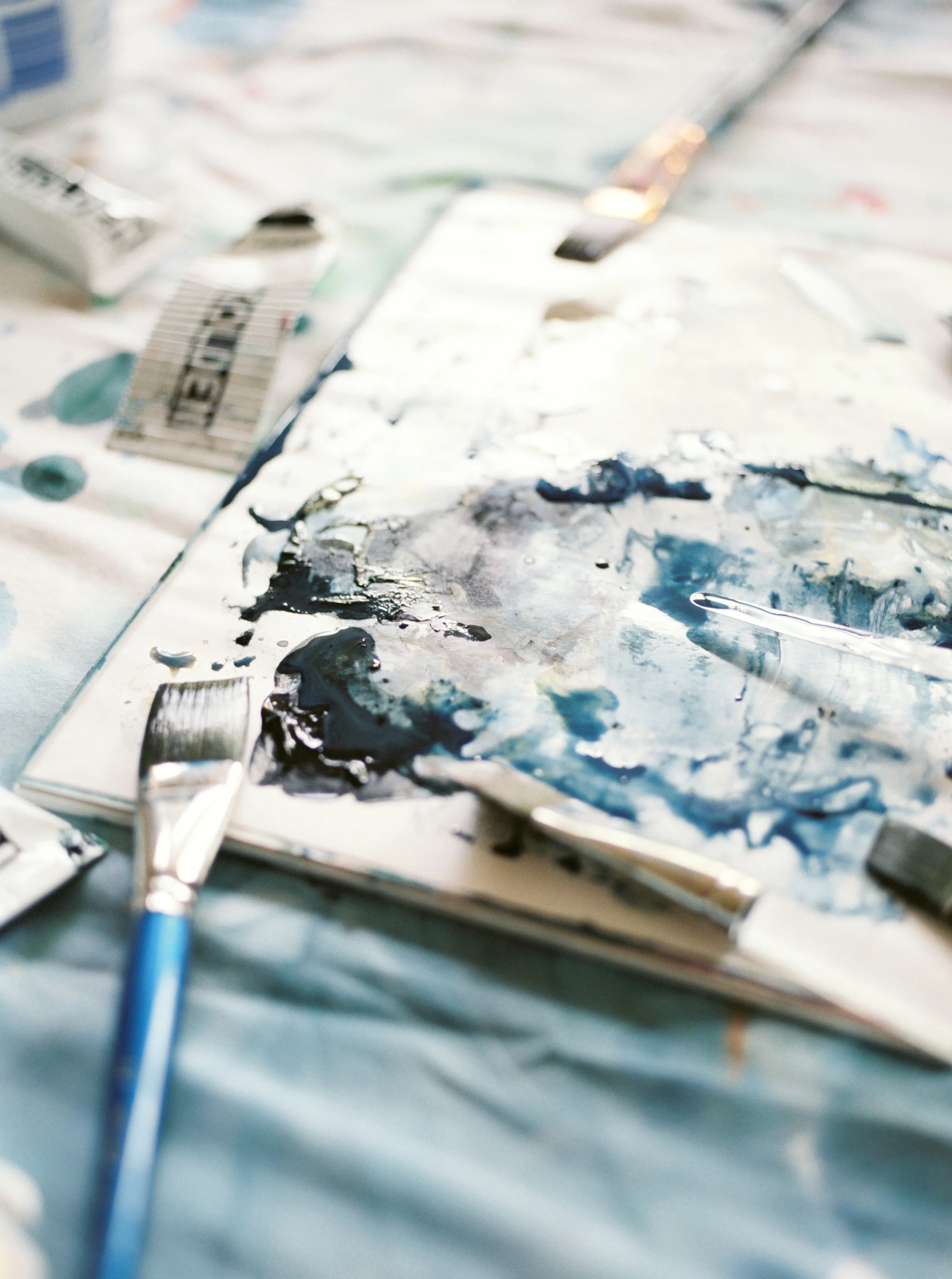 DaniSchafer_ArtistProfile_JakeAndersonPhotographer.jpg