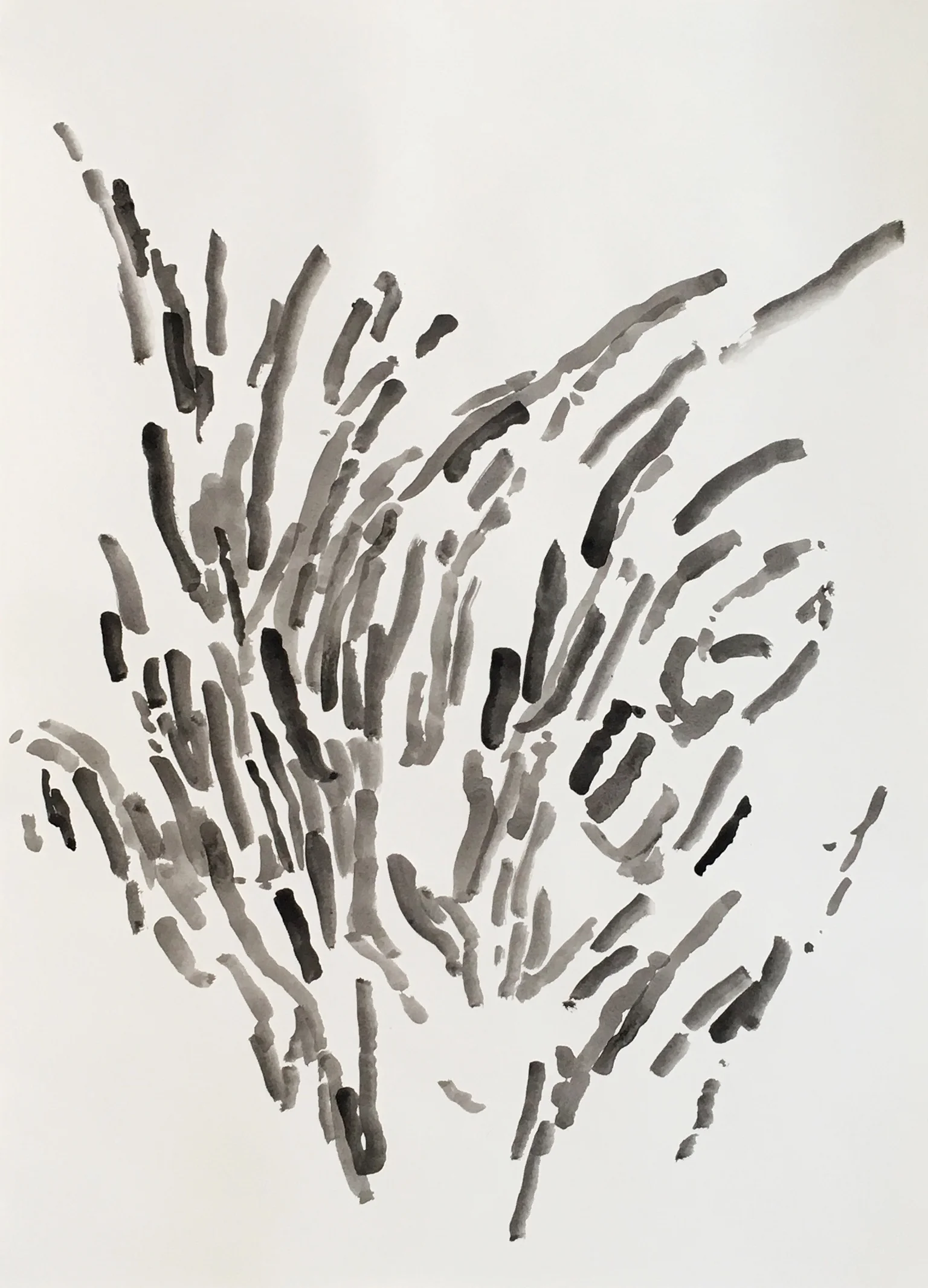 study_crop_19x26_2017.jpg