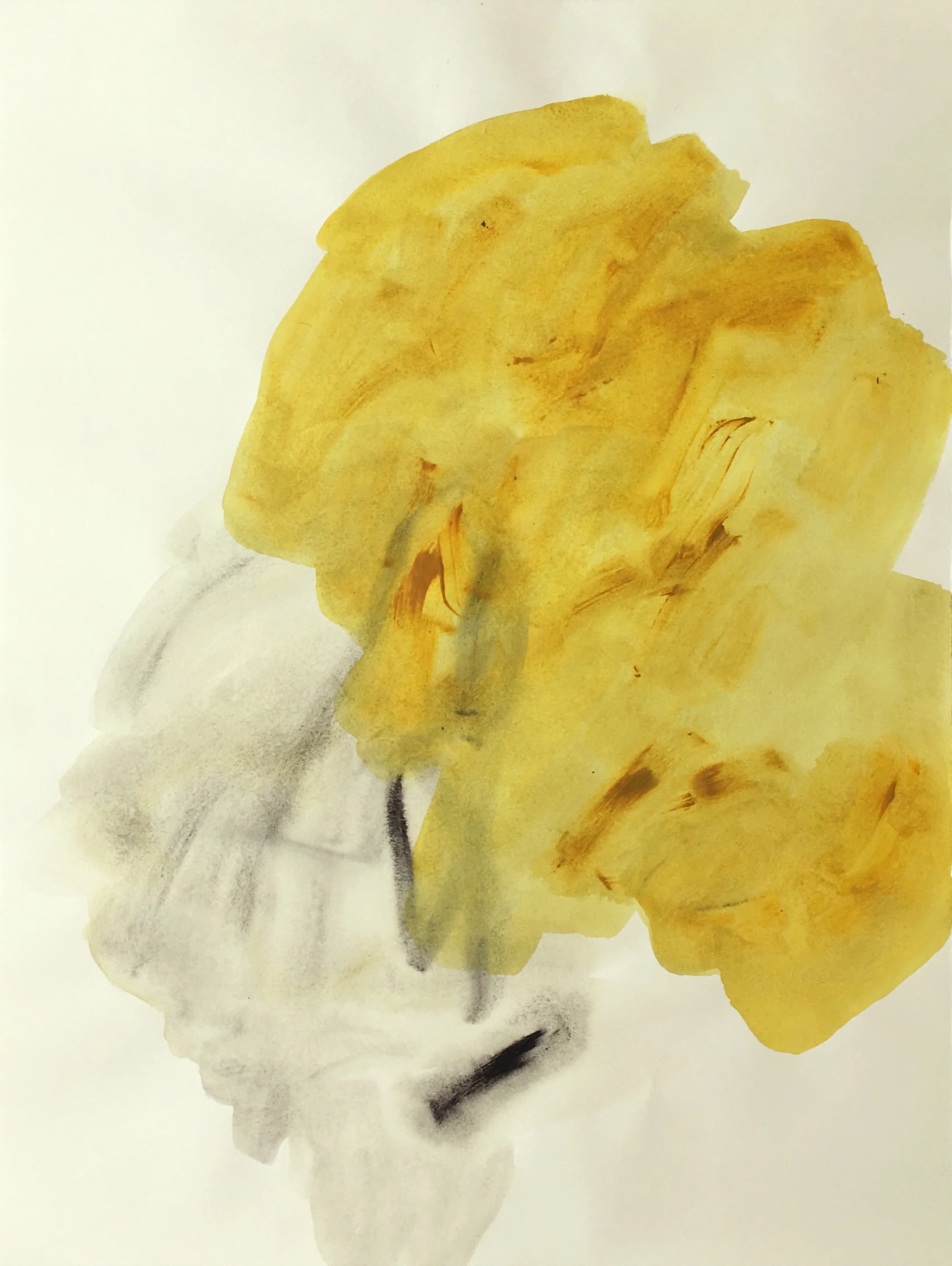 acrylic on BFK Rives paper, 20 x 26", 2018