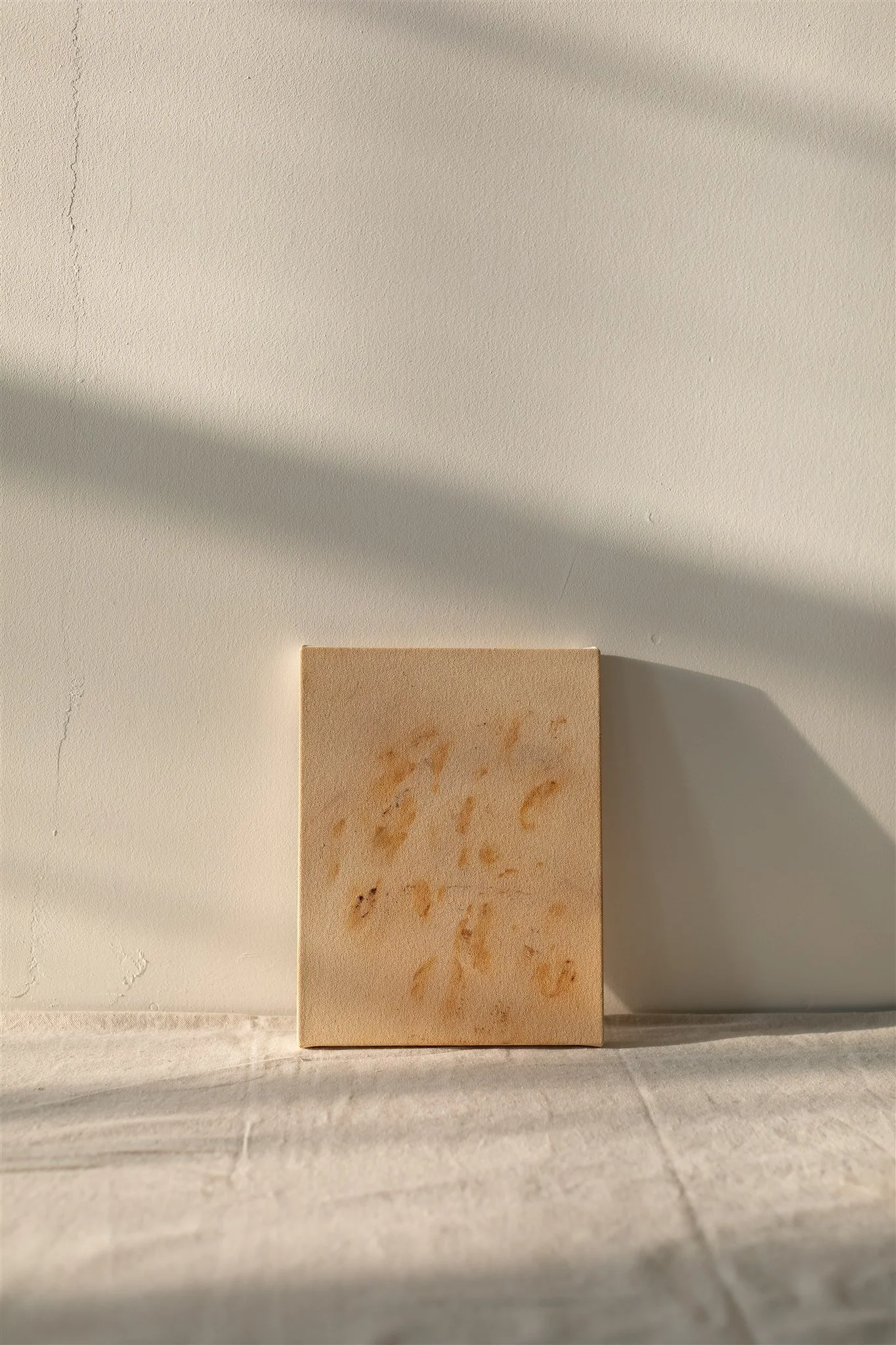 Dani Schafer_s ART - Sept. 2024-10-F.jpg