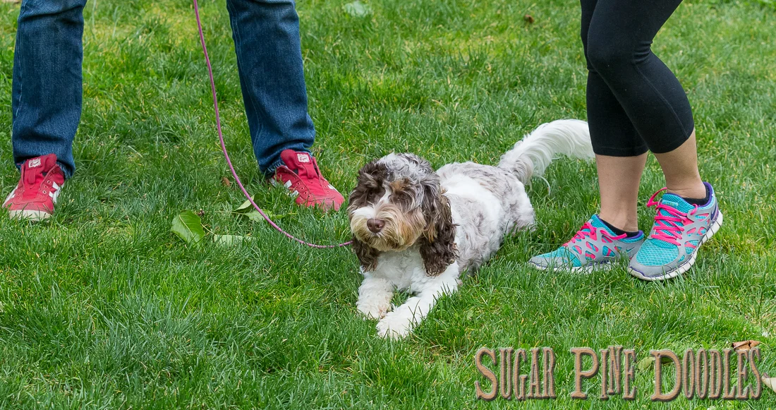 20150523_002-52.jpg