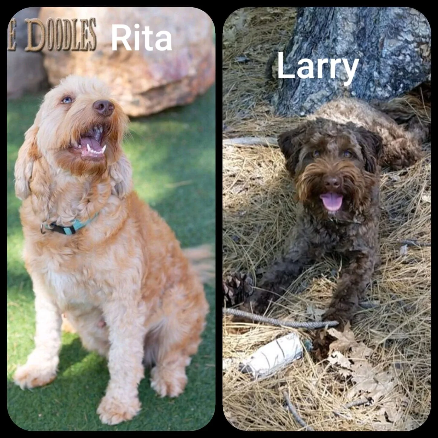 Parents: Rita & Larry