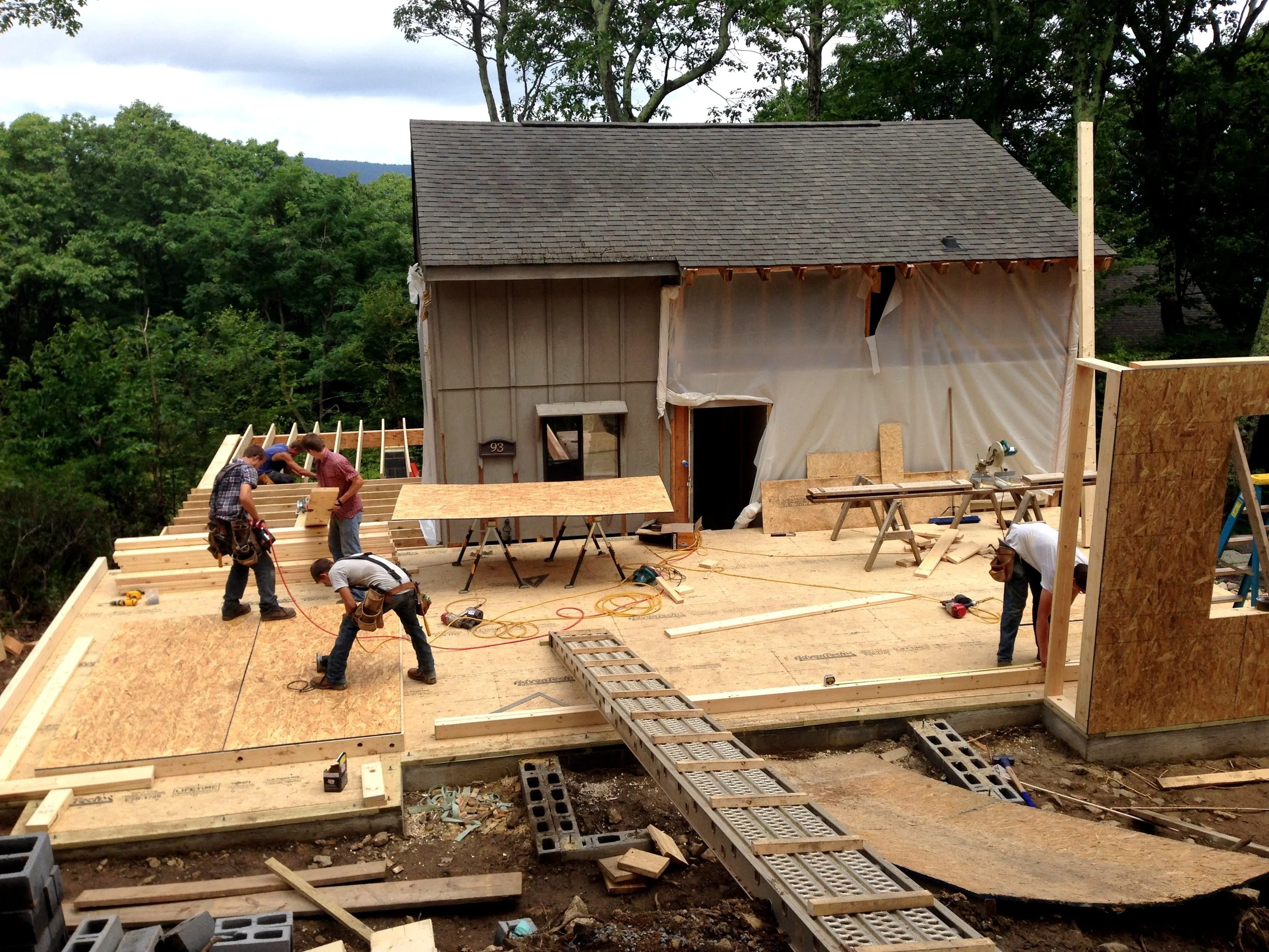 IMG_4005.JPG
