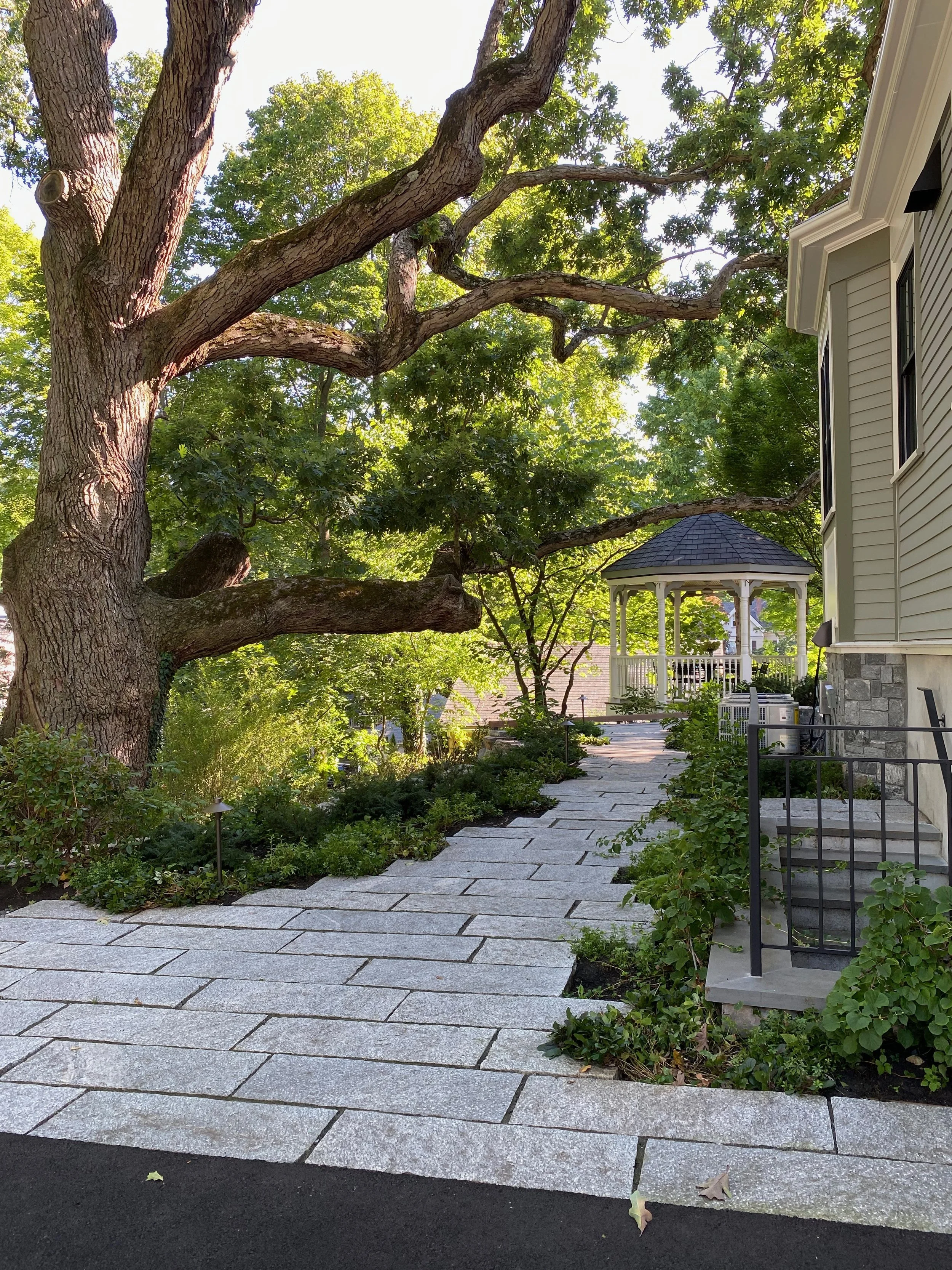 Newton Victorian Landscape | Grande Dame Oak Terrace Landscape — Inge ...