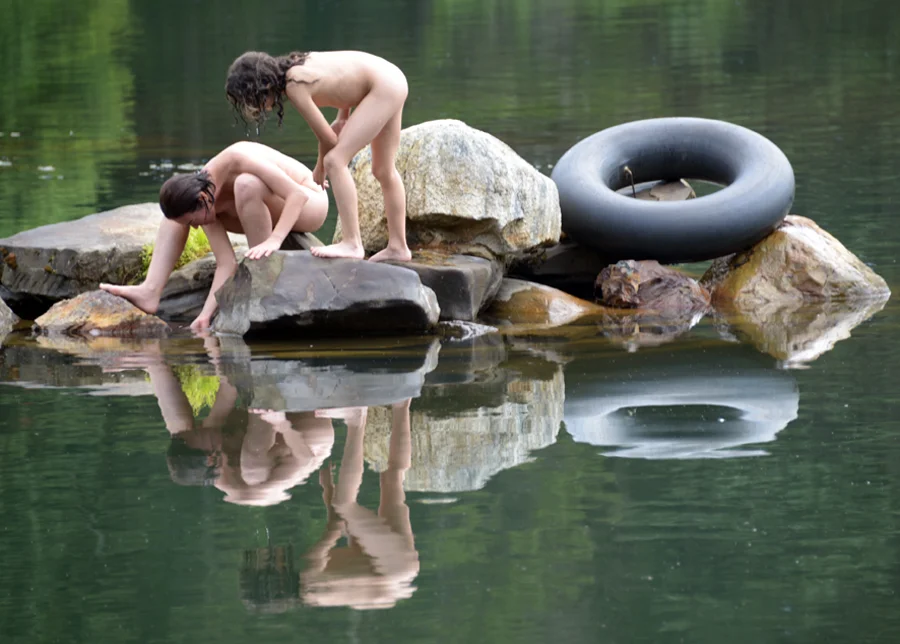 Creatures In The Pond