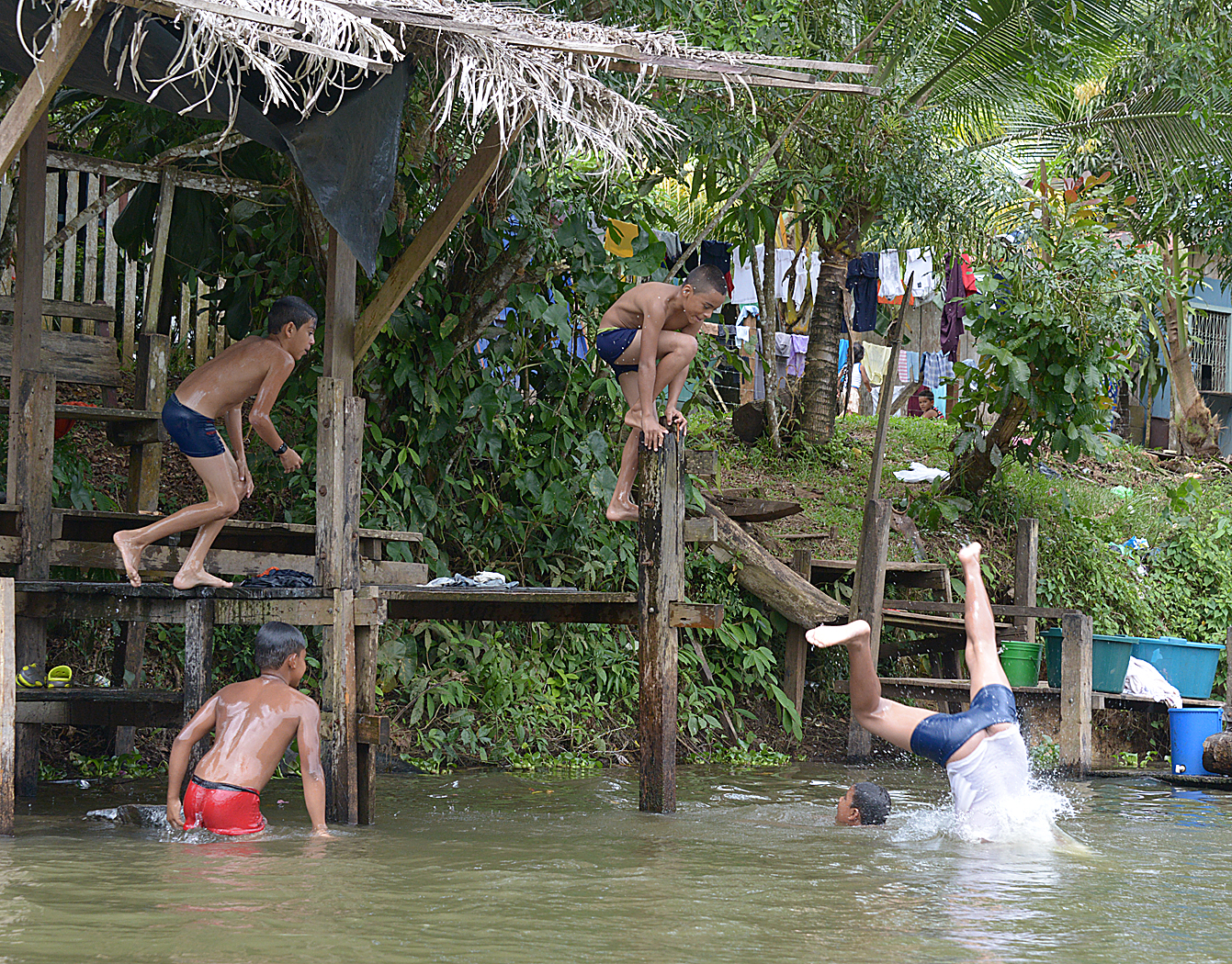 Sábalos Swimmers