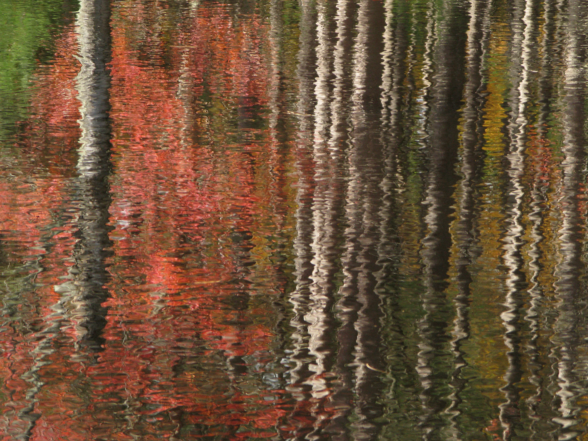 Quabbin Autumn