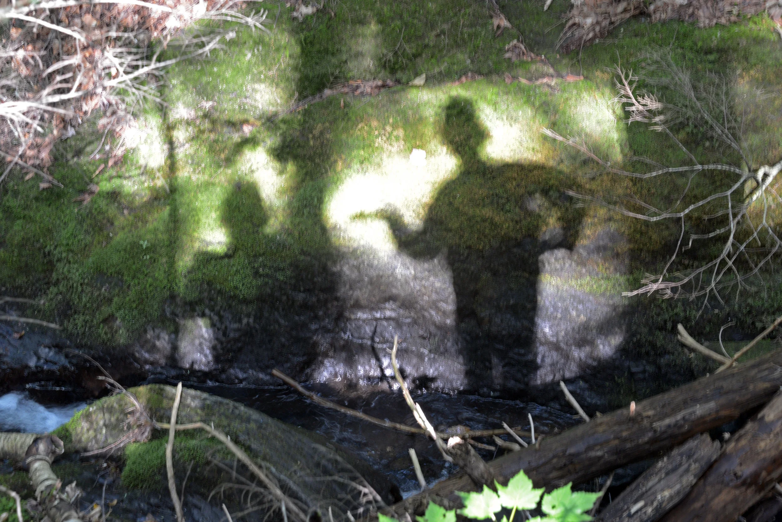 A Hike Above Lake Elmore