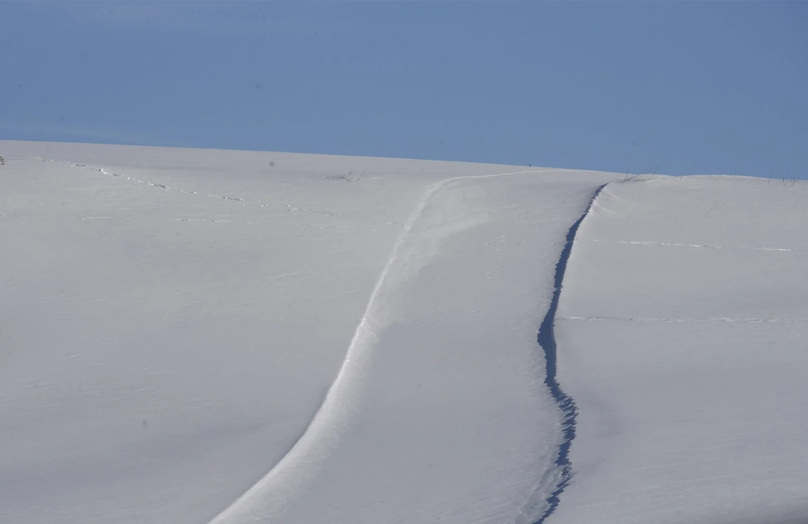 Irasburg snowfield.jpg