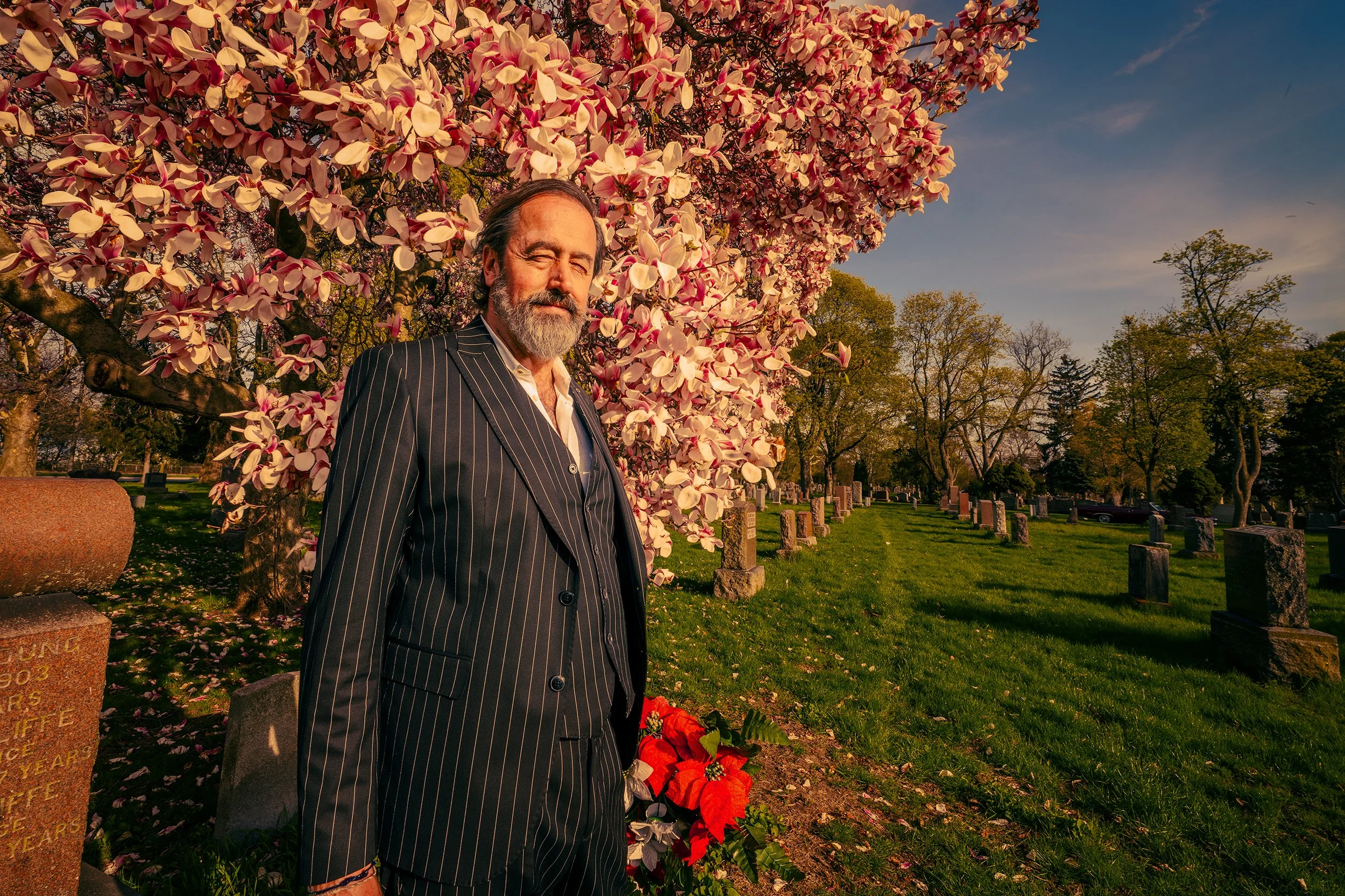 A man with a gray beard and dark hair, dressed in a black pinstripe suit, stands in front of a blooming pink and white magnolia tree at a cemetery during sunset. Graves and tombstones are visible in the background.