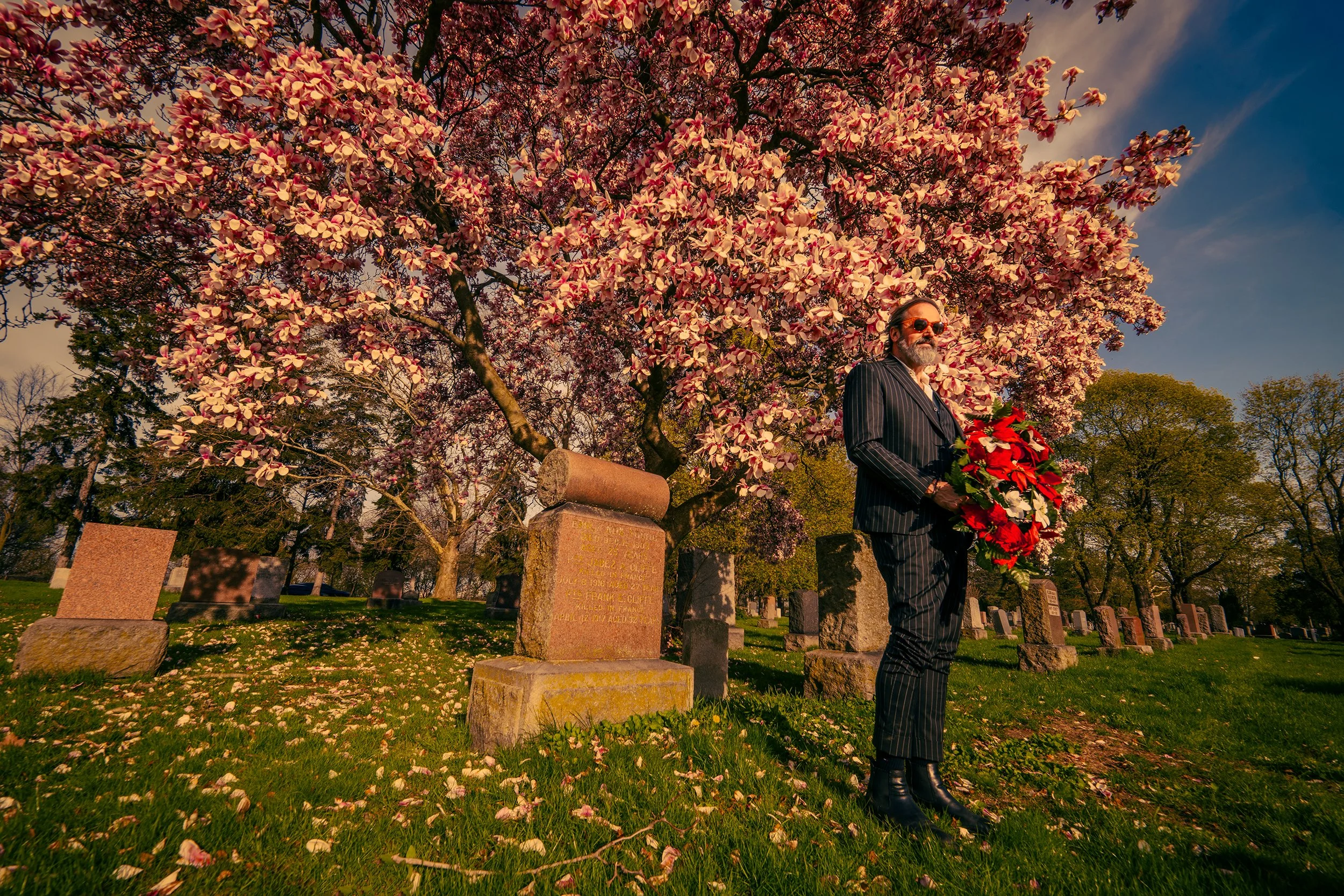 A man with sunglasses and a beard wearing a dark striped suit holding a bouquet of red and white flowers in a cemetery during daylight. A large pink flowering tree is behind him, with fallen petals on the grass and gravestones around.