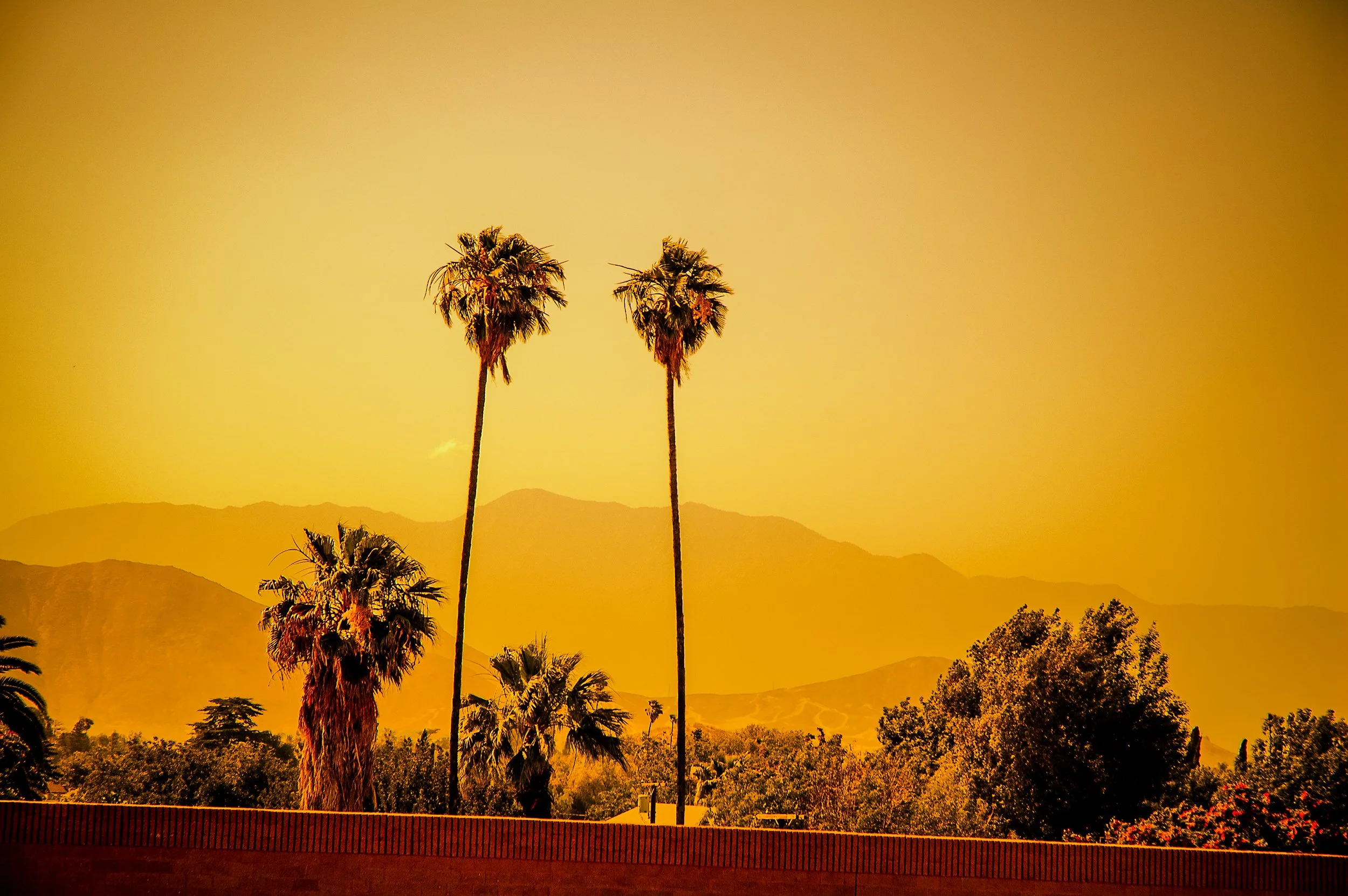 Two tall palm trees against a yellow-orange sky during sunset.