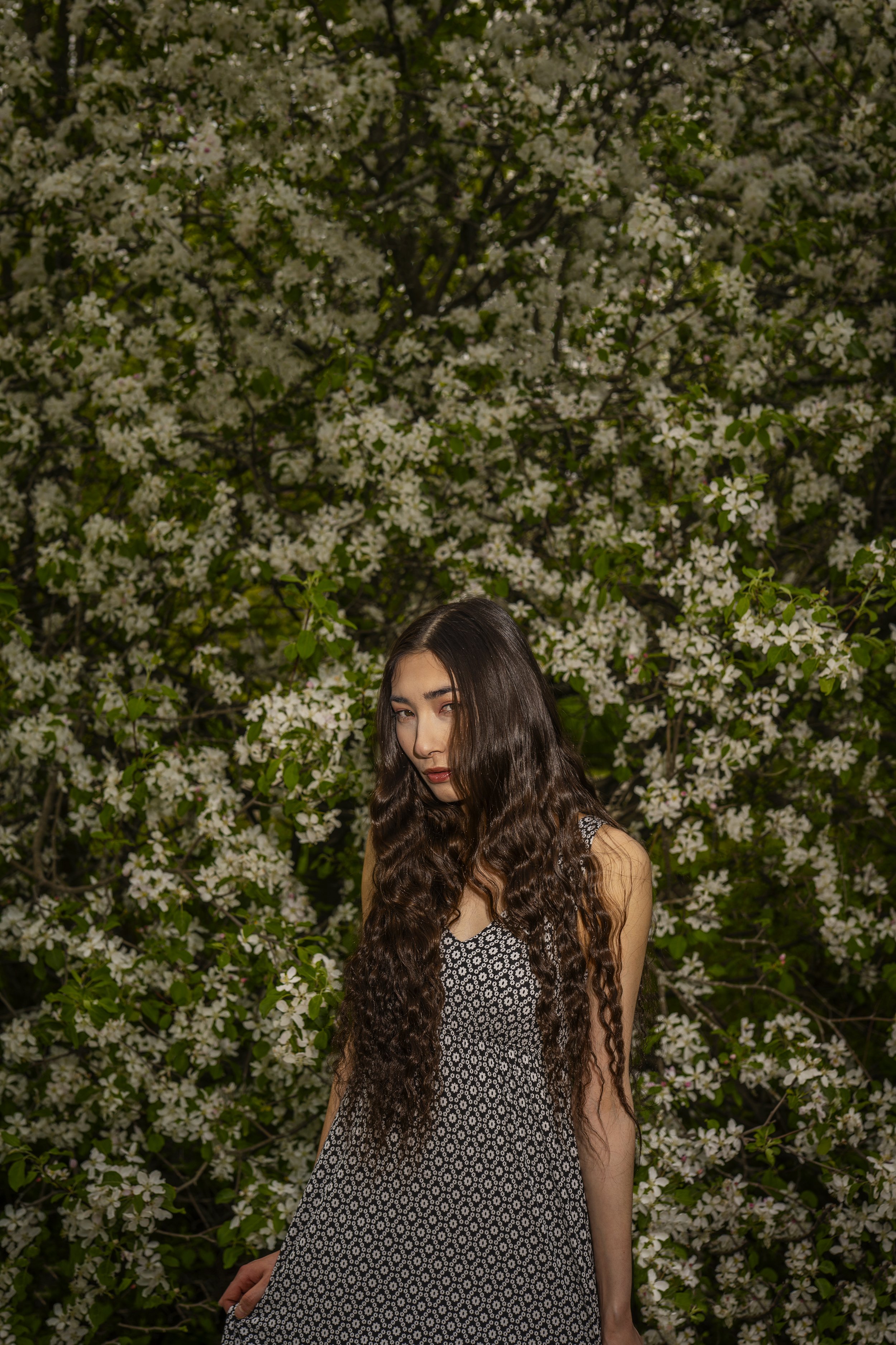 A young woman with long wavy brown hair standing outdoors in front of a blooming white flower bush, wearing a sleeveless black and white patterned dress.