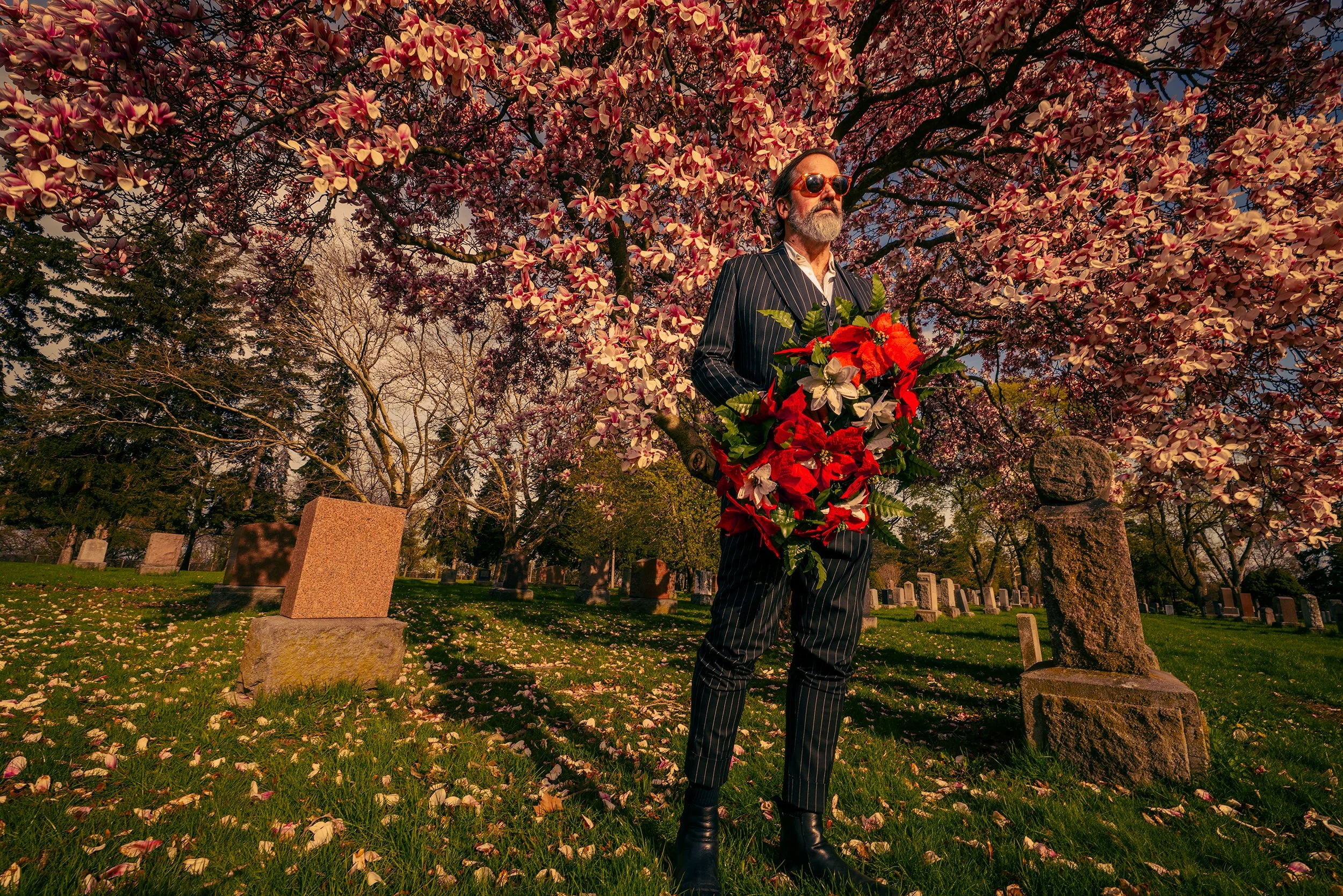 A man with a beard wearing sunglasses and a pinstripe suit holding a bouquet of red poinsettias and white flowers, standing in a cemetery among tombstones with blooming pink magnolia trees in the background.