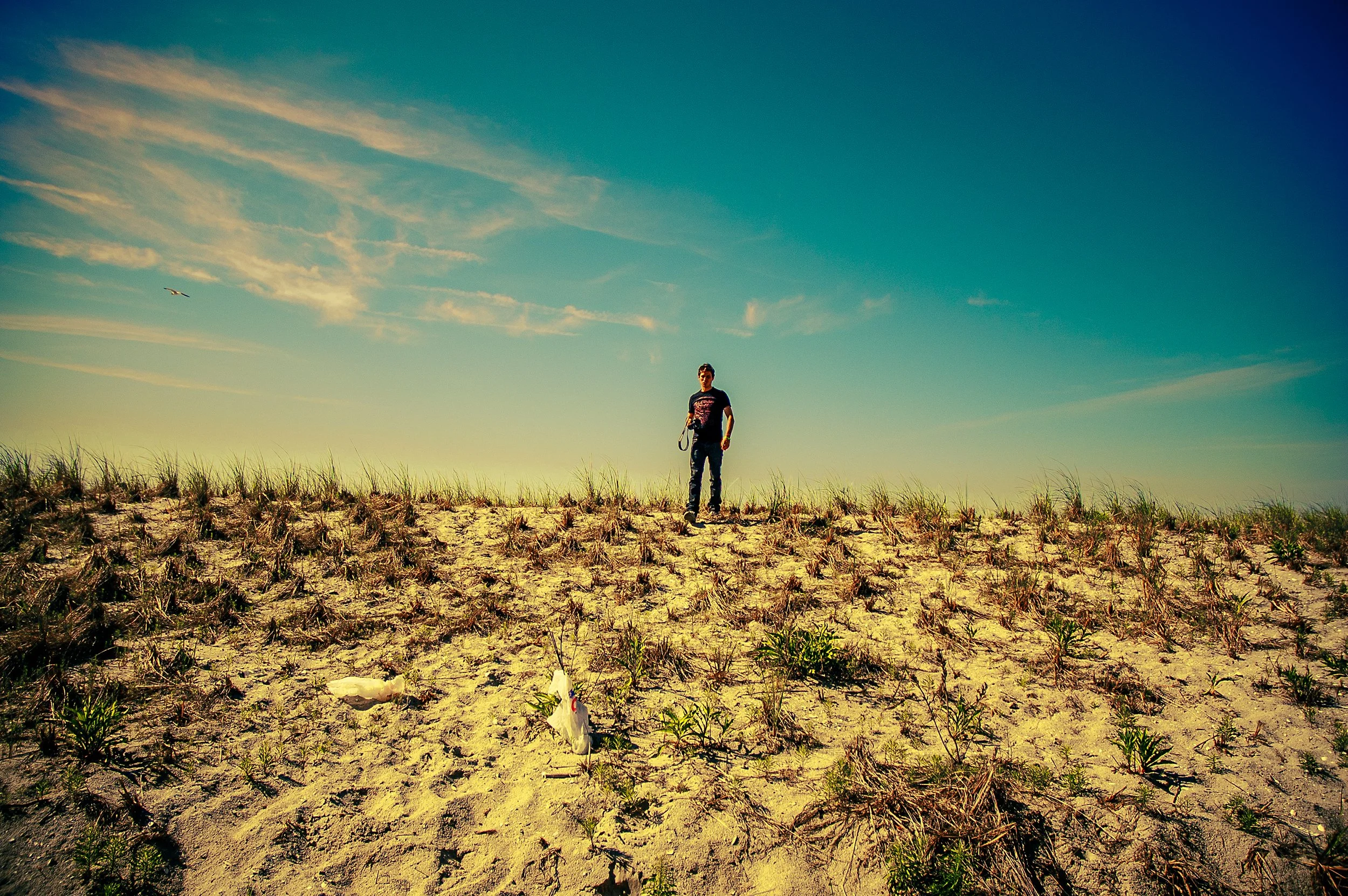 A person walking through a sandy, grassy field under a blue sky with wispy clouds and a bird flying in the distance.