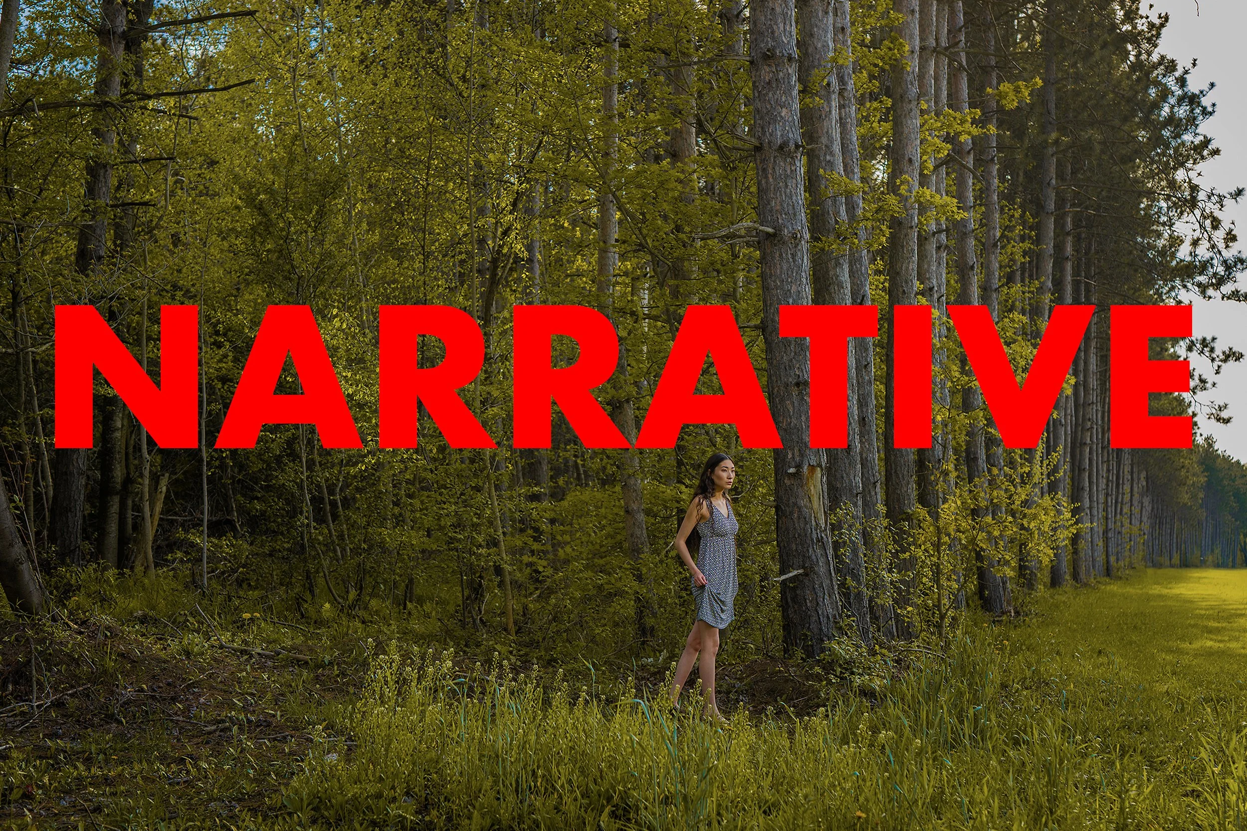 NARRATIVE copy.jpg