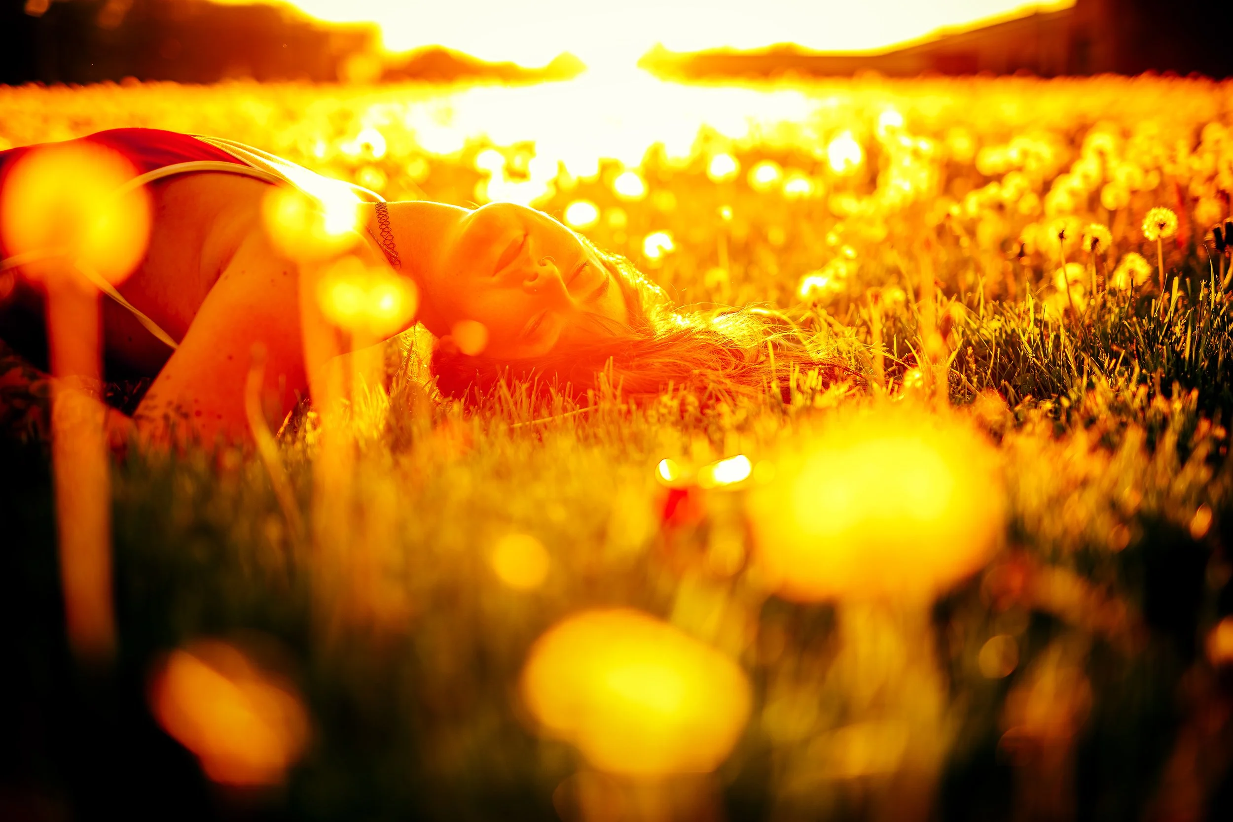 A woman laying in a field of flowers at sunset, with the sun illuminating her face and the surrounding flowers.