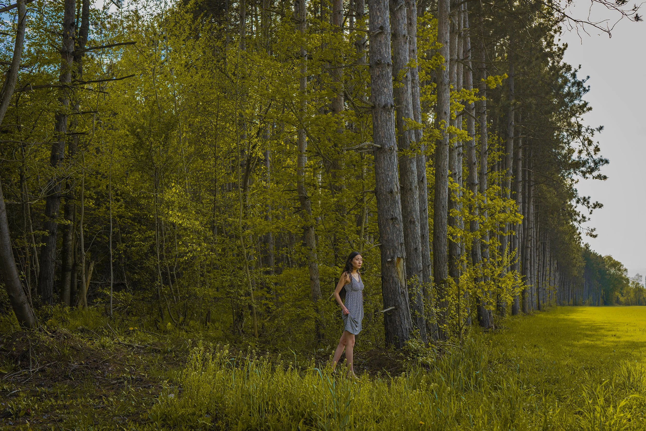 A woman in a gray dress stands near a line of tall trees and green grass in a forested area under an overcast sky.