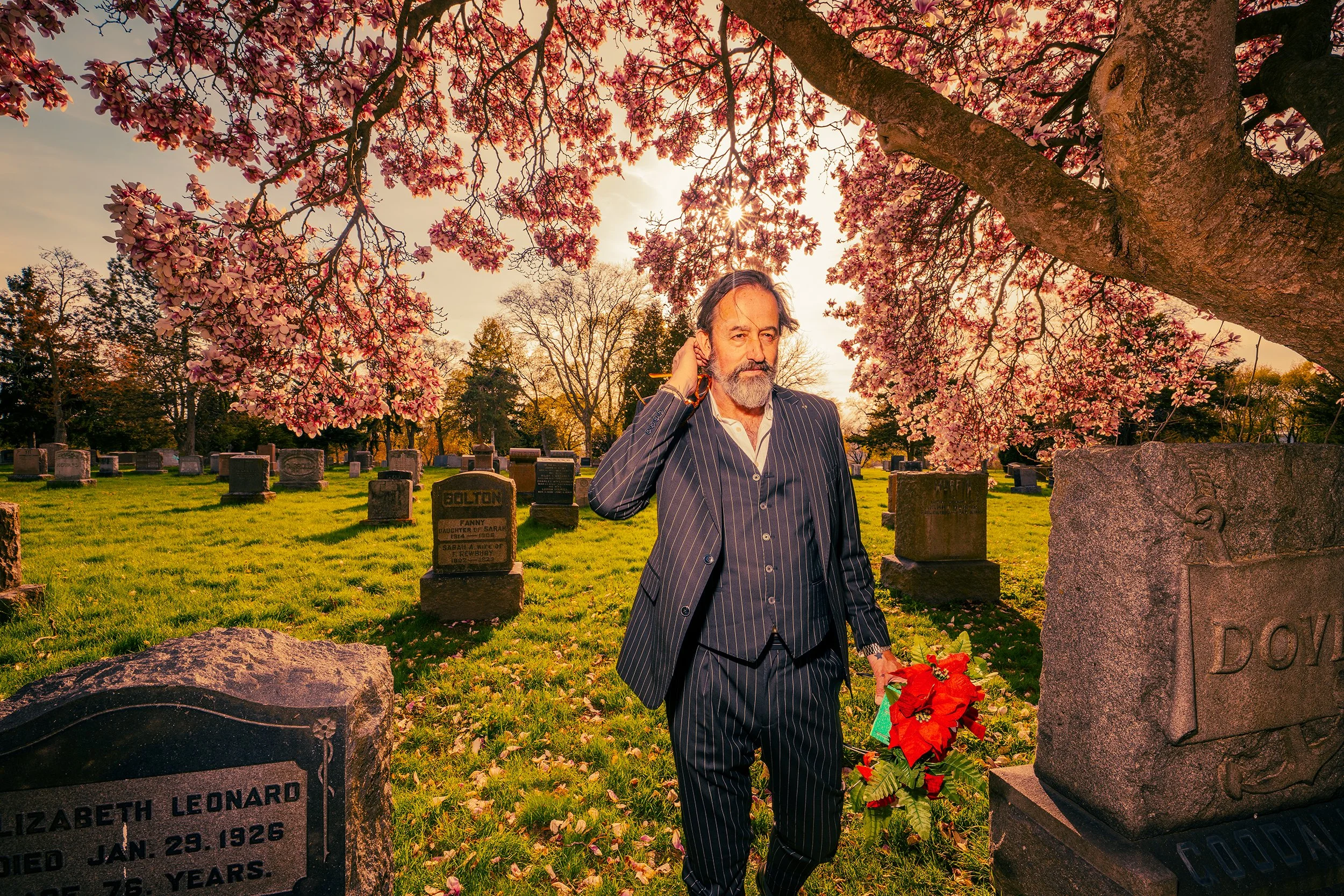 A man with a beard and dark hair, dressed in a pinstripe suit, stands in a graveyard under a pink flowering tree, holding a red flower, with graves around him during sunset.