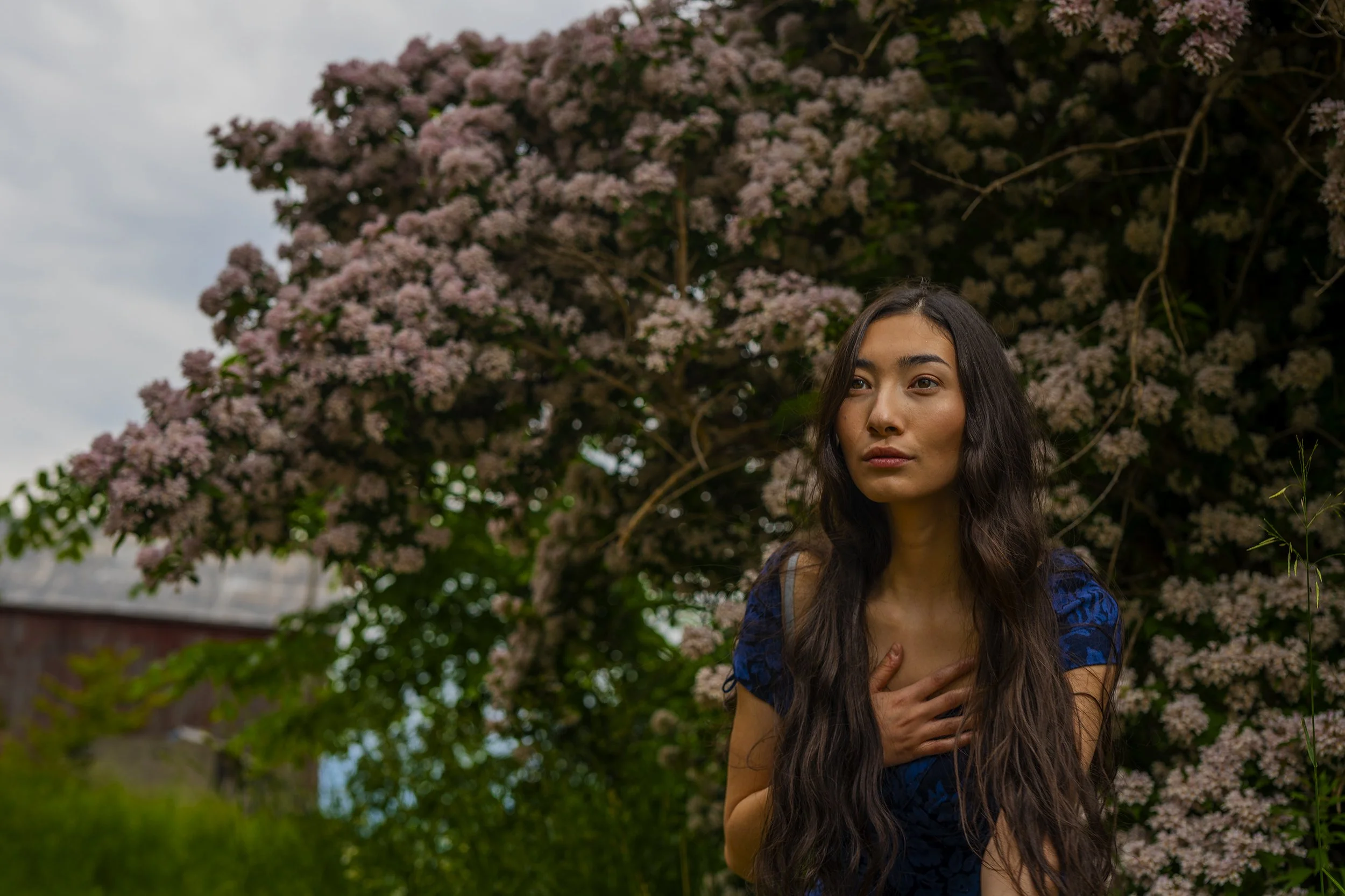 A young woman with long dark hair standing outdoors in front of a large blooming pink-flowered tree, wearing a blue patterned dress, with her right hand on her chest and looking slightly to her left.