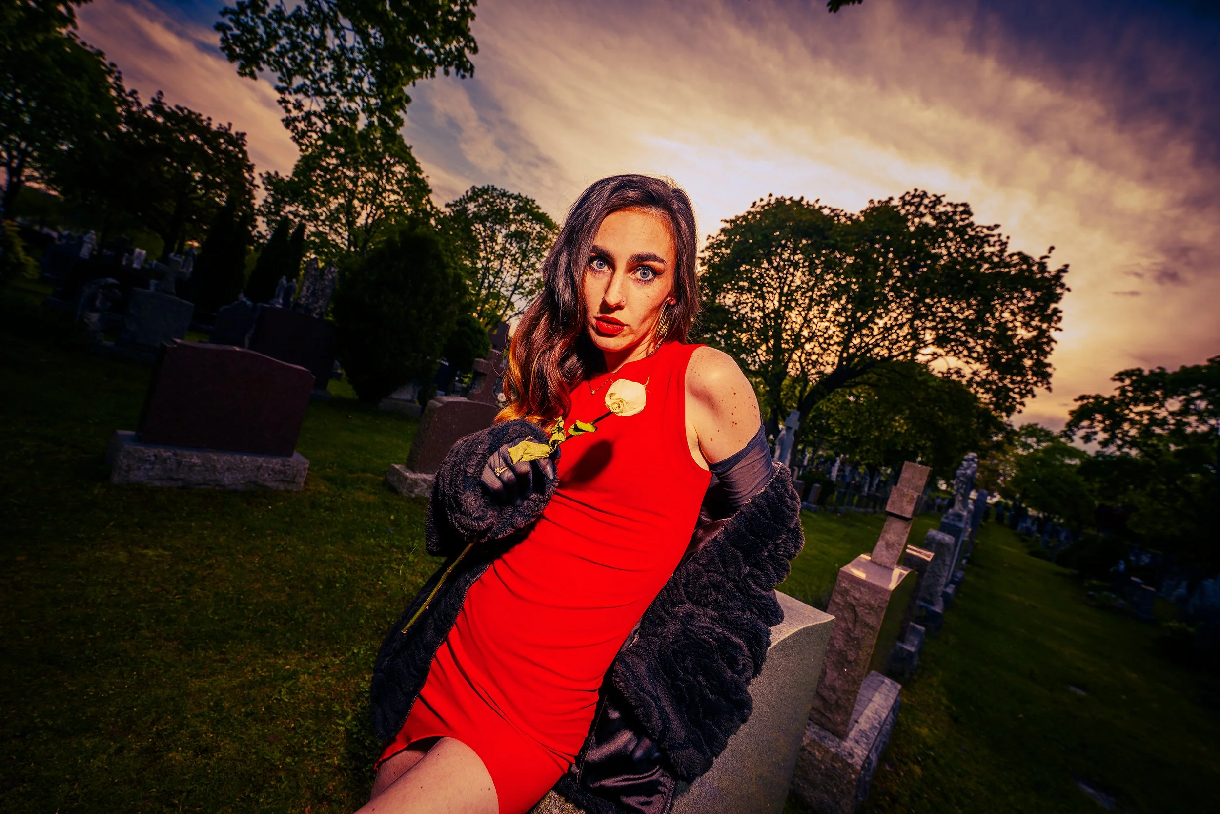 A woman in a red dress and dark cardigan holding a white rose in a cemetery during sunset.