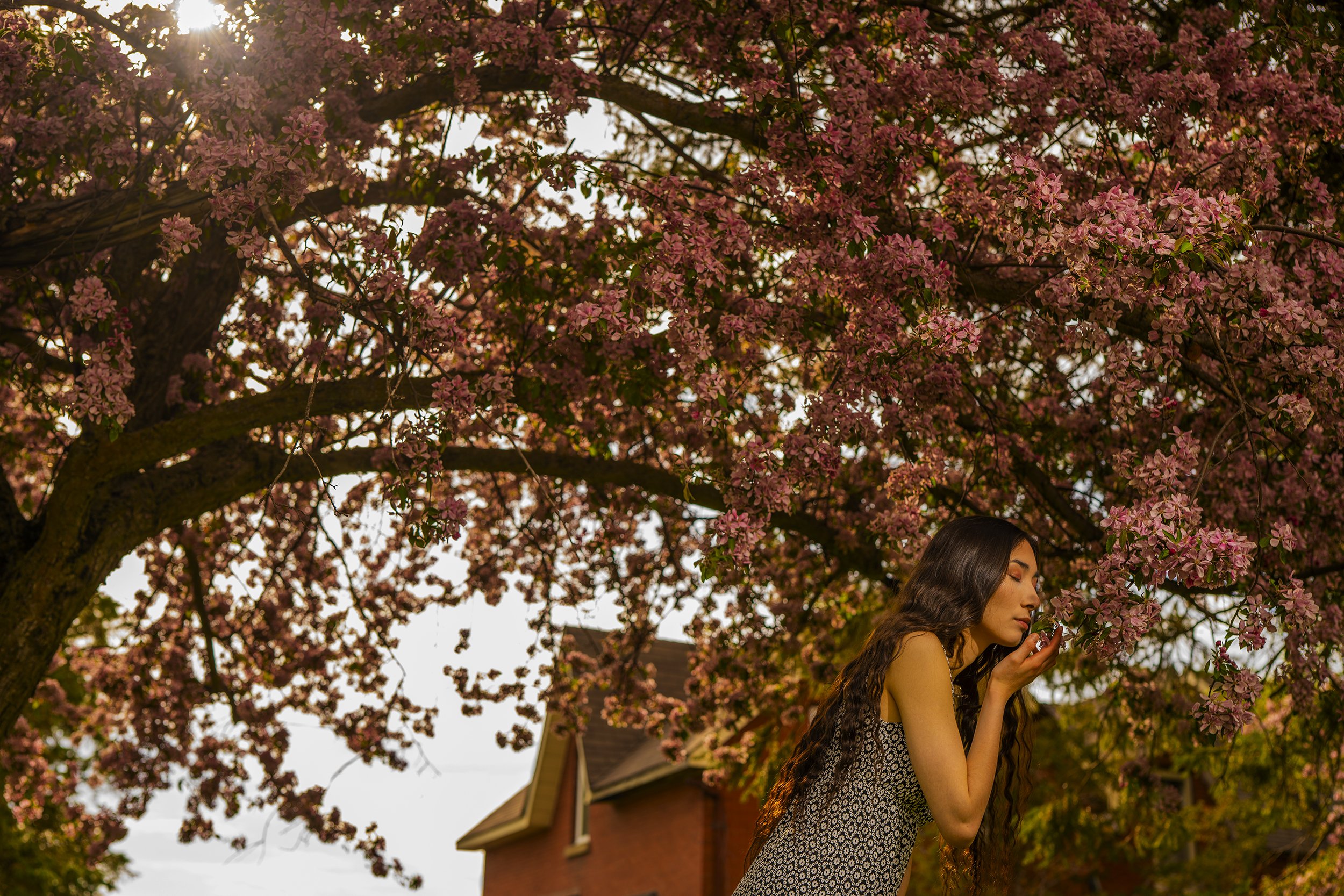 A woman with long wavy hair standing outdoors under a tree with pink blossoms, holding a flower close to her face, with sunlight filtering through the branches.