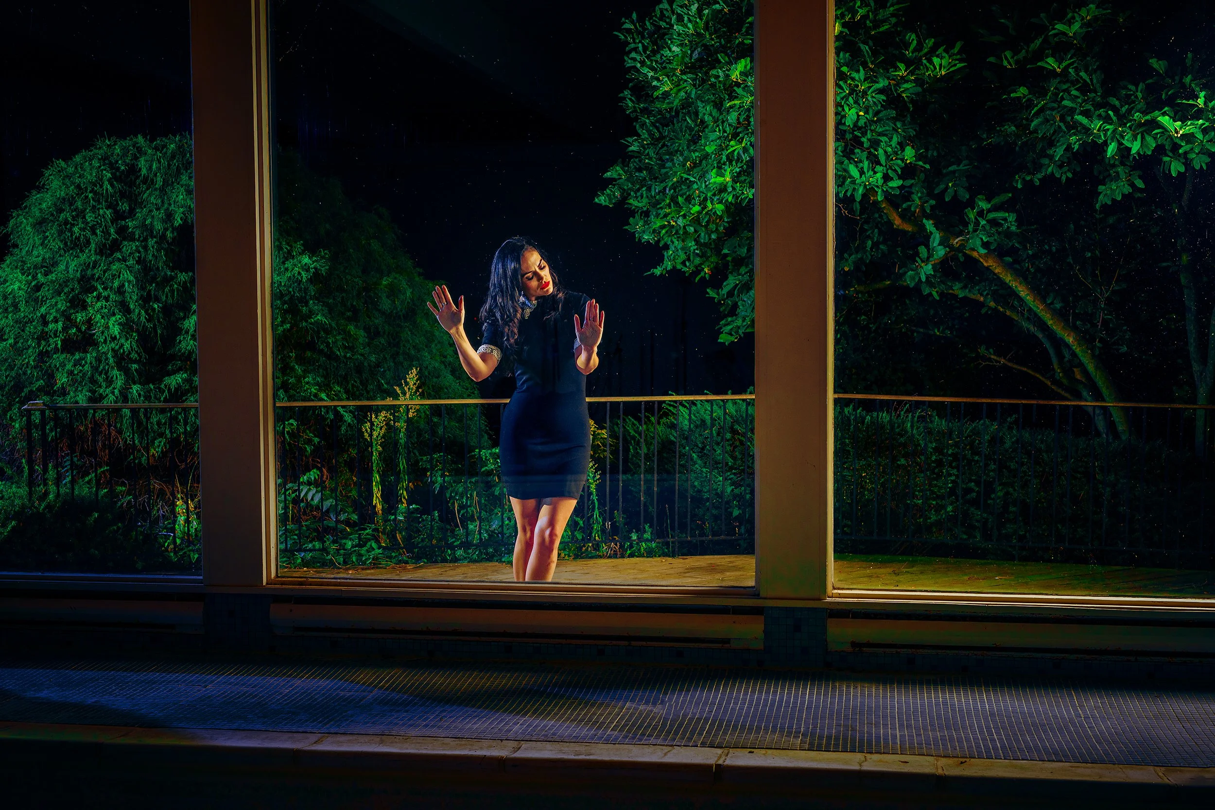 A woman in a black dress standing outside at night behind a glass window, with trees and the starry sky visible in the background.
