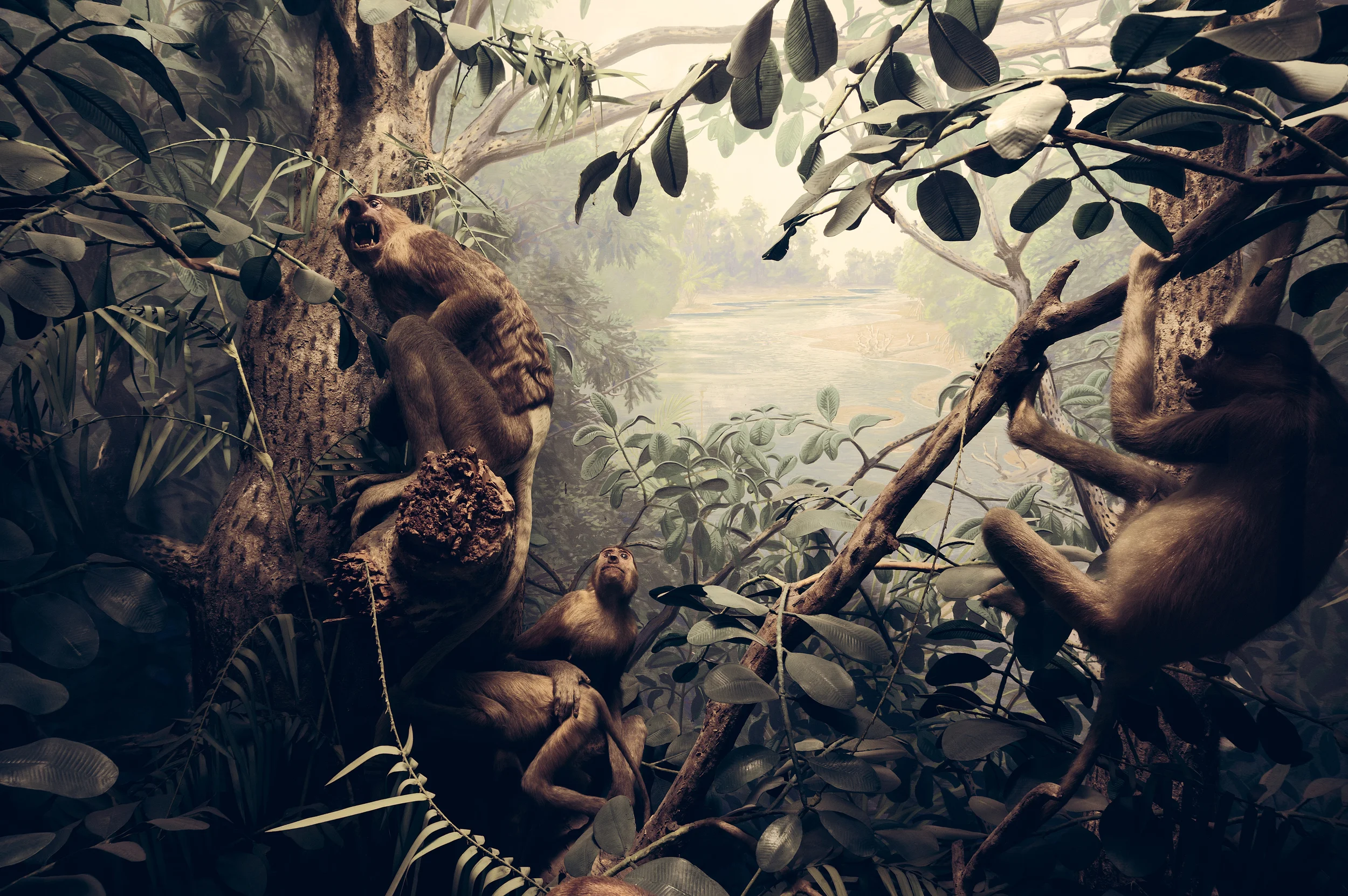 Wild Things-6.jpg