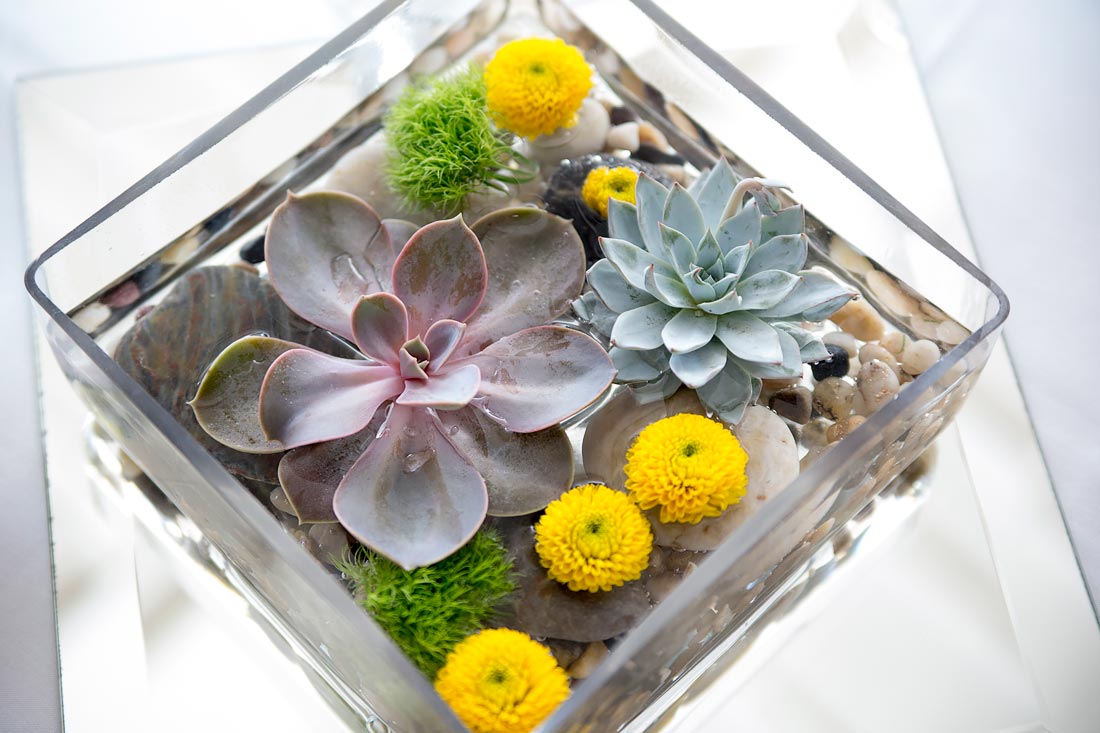 Succulent centerpieces from an early May captured by Grace Pulver Photography . Arrangements done by Camille's Floral .