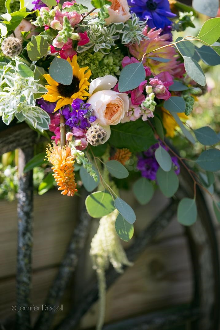 Another shot of the bouquet above. Photo by Jennifer Driscoll Photography.