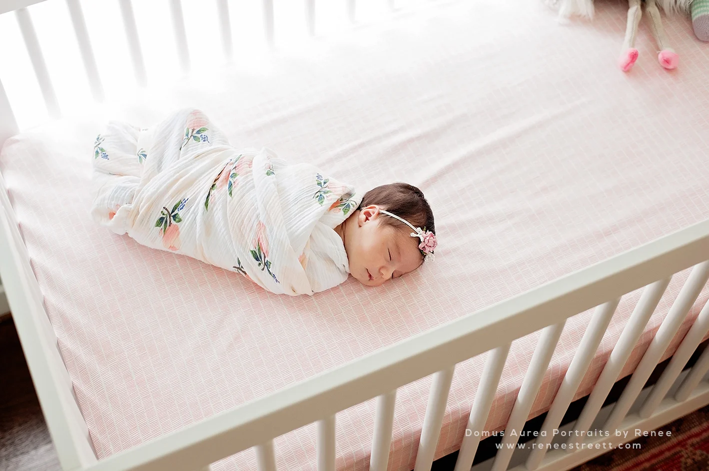 Houston Newborn Photographer - Domus Aurea Portraits 3.jpg