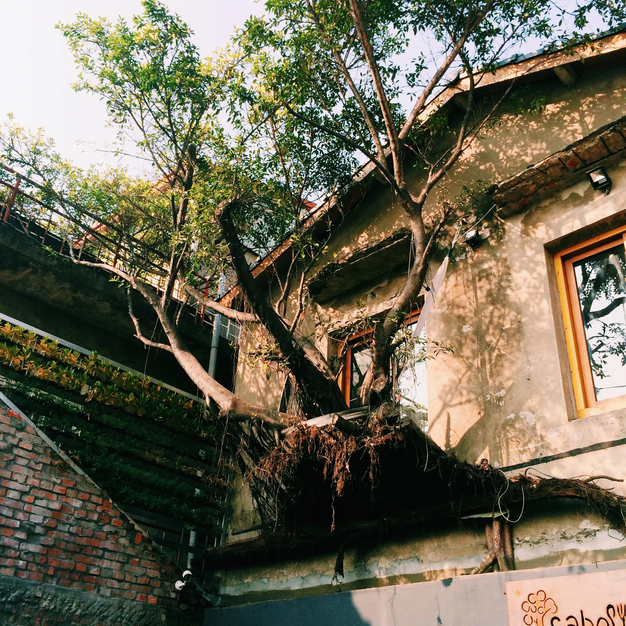 a treehouse, taichung