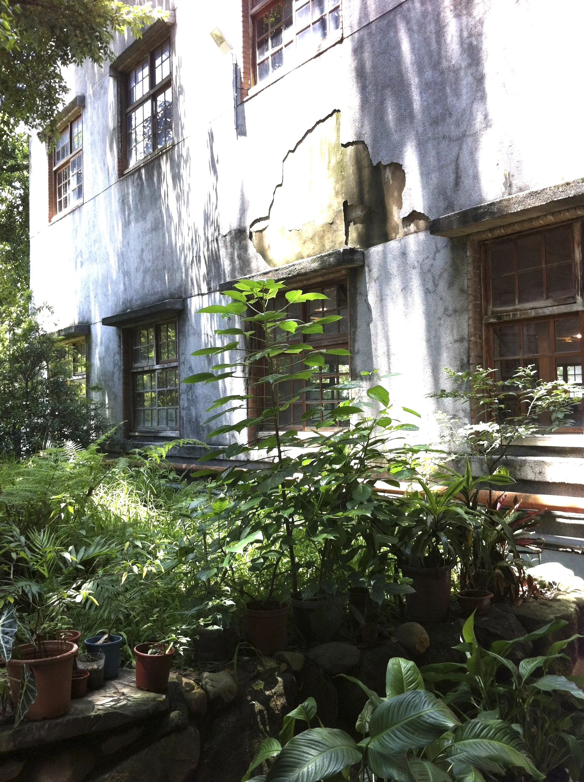unrestrained greenery at huashan cultural and creative industries park, taipei.