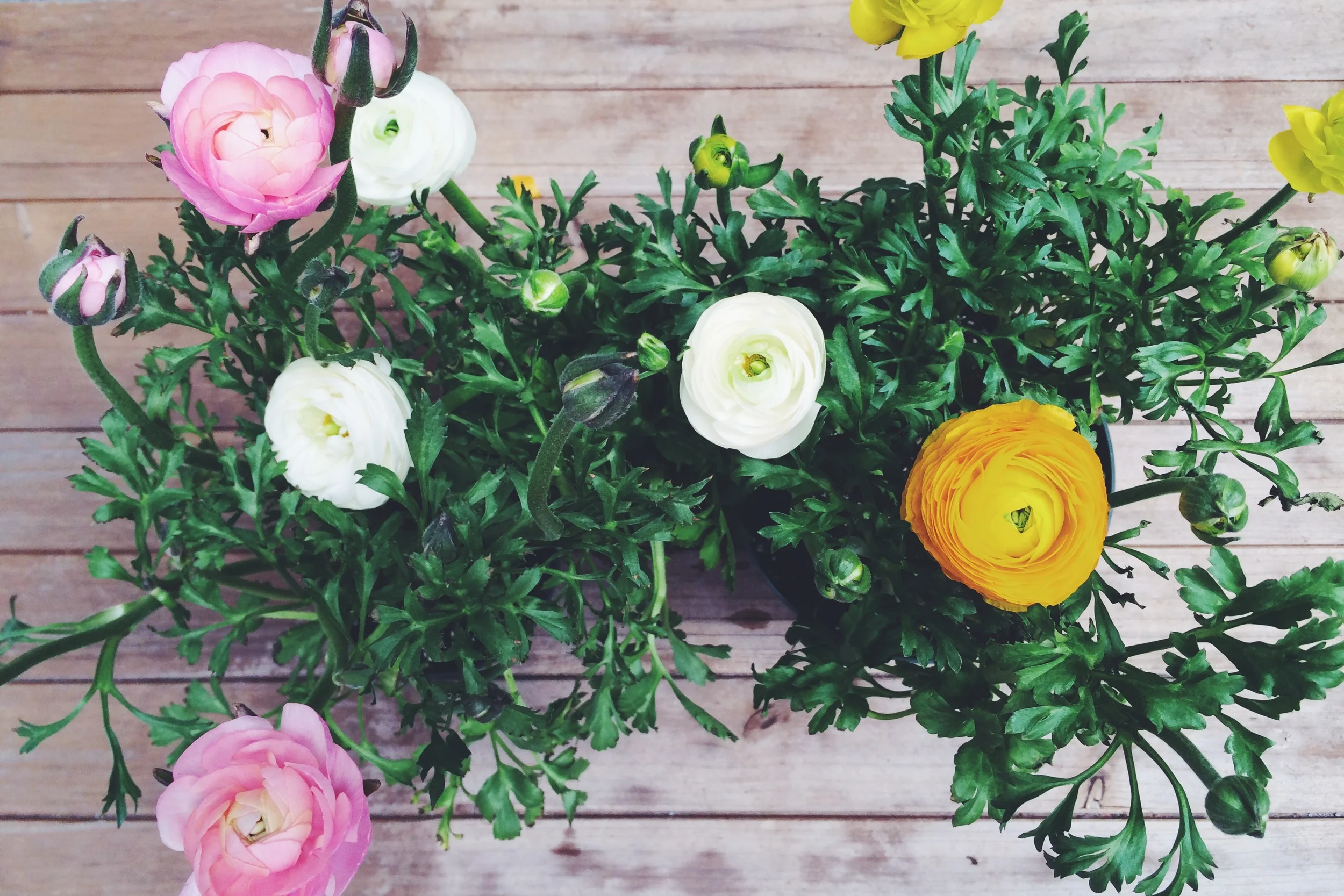 more of my favorites.