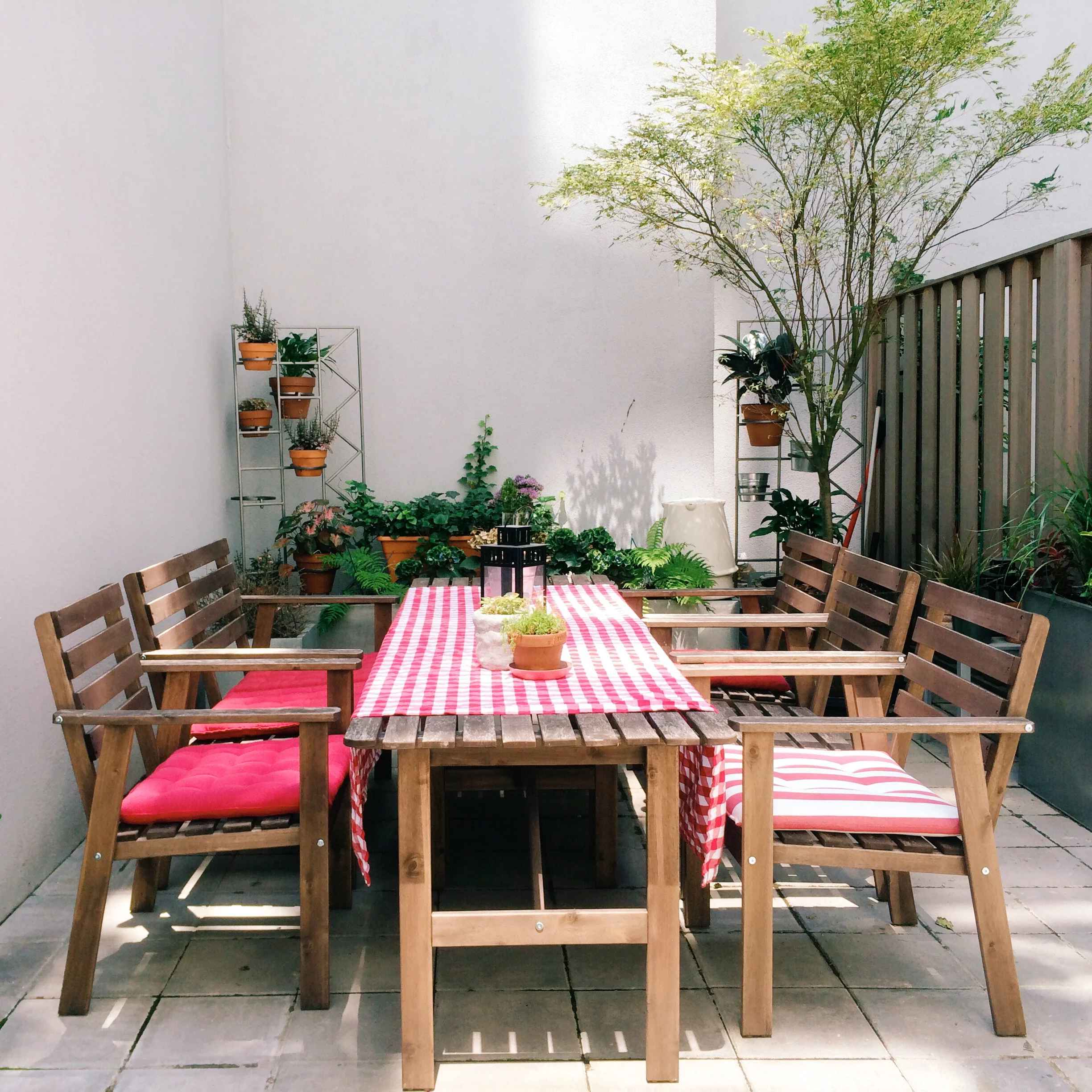 this is how the yard was arranged for hhh's birthday bbq a few weeks back. there some small pots of thyme and polka dots on the table.